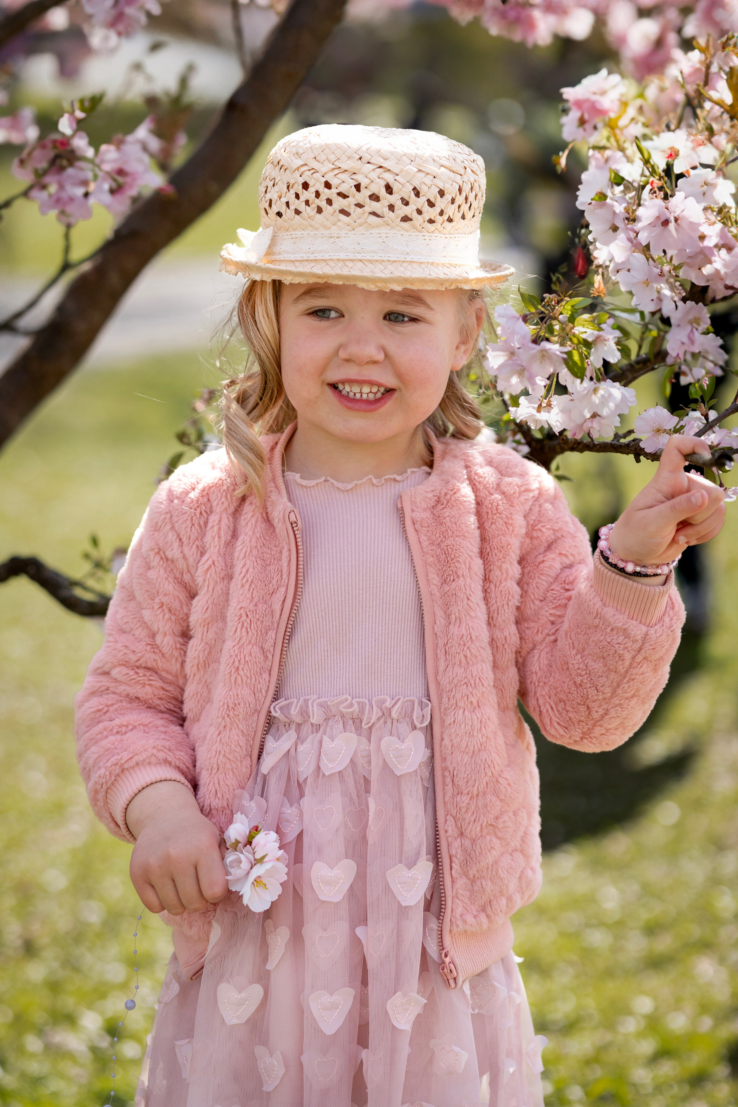Cherry Blossoms in Munich. Photographer in Munich