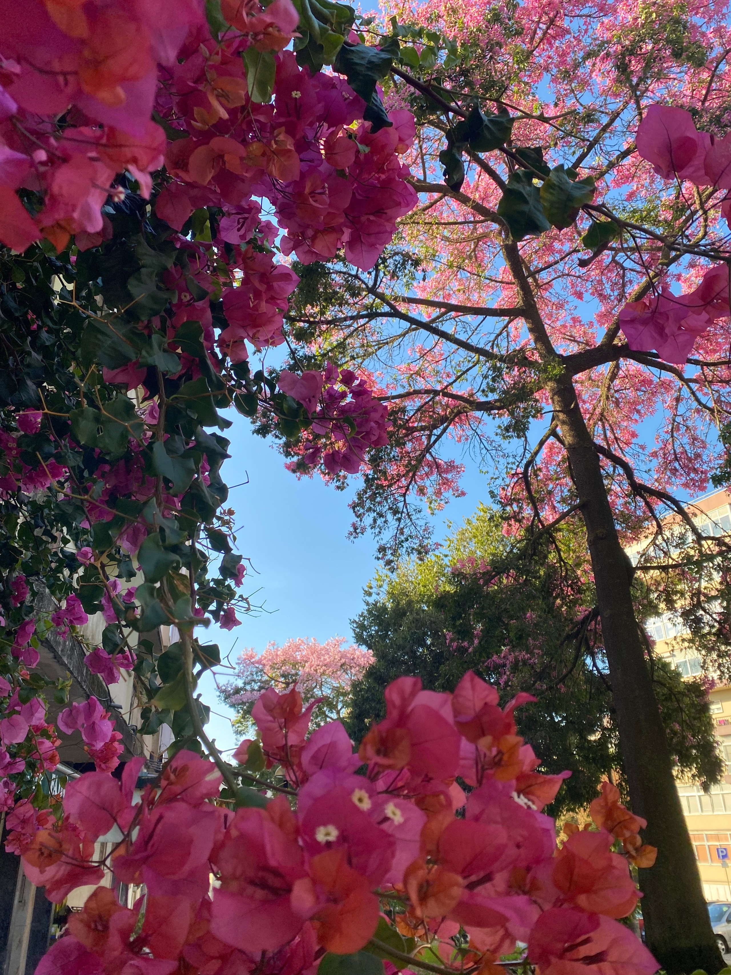 Jógový pobyt v Portugalsku 2024. Mateřství. Nevýchova. Život v souladu s přírodou. Jóga