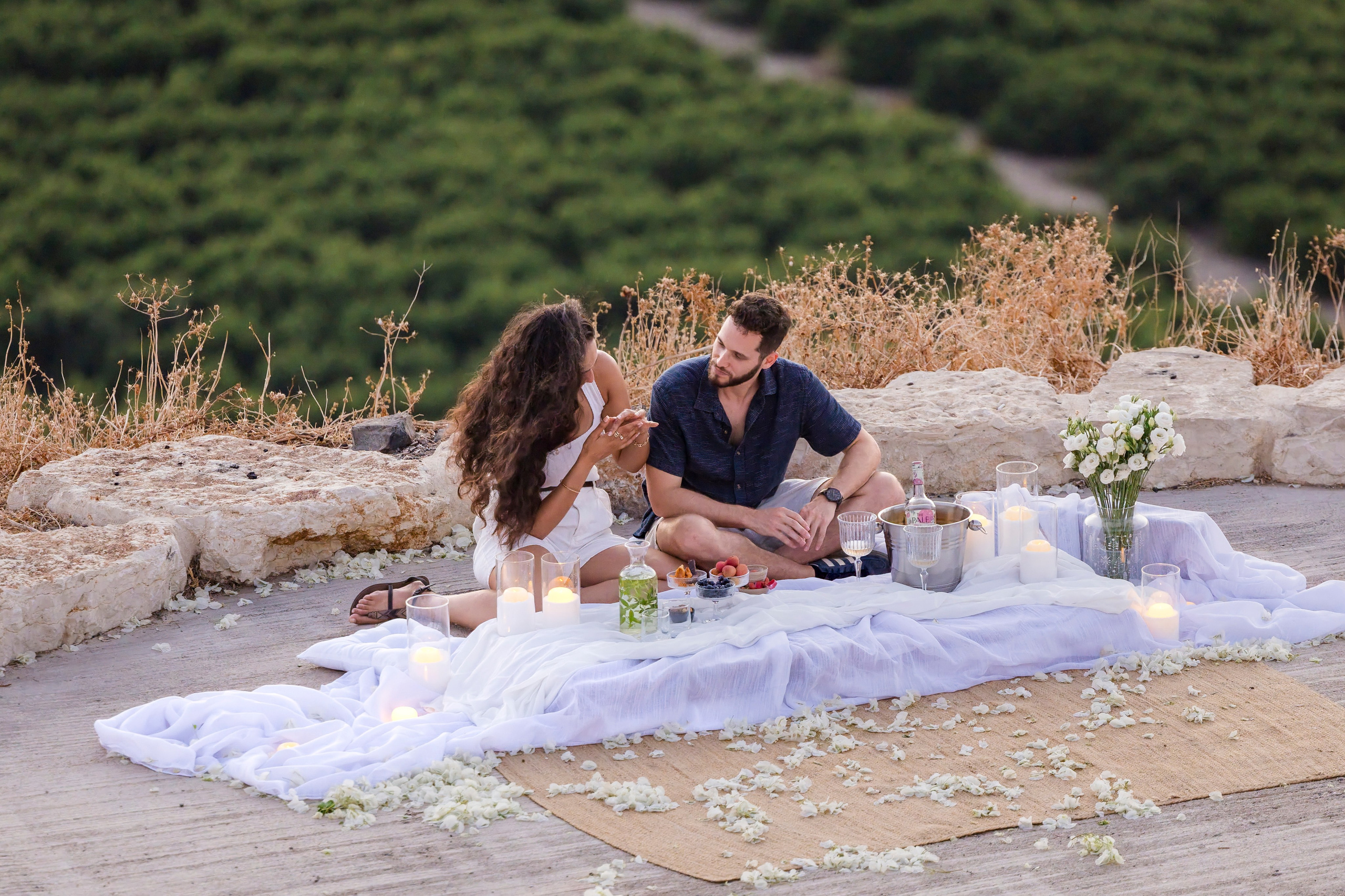 Lee & Segev Proposal