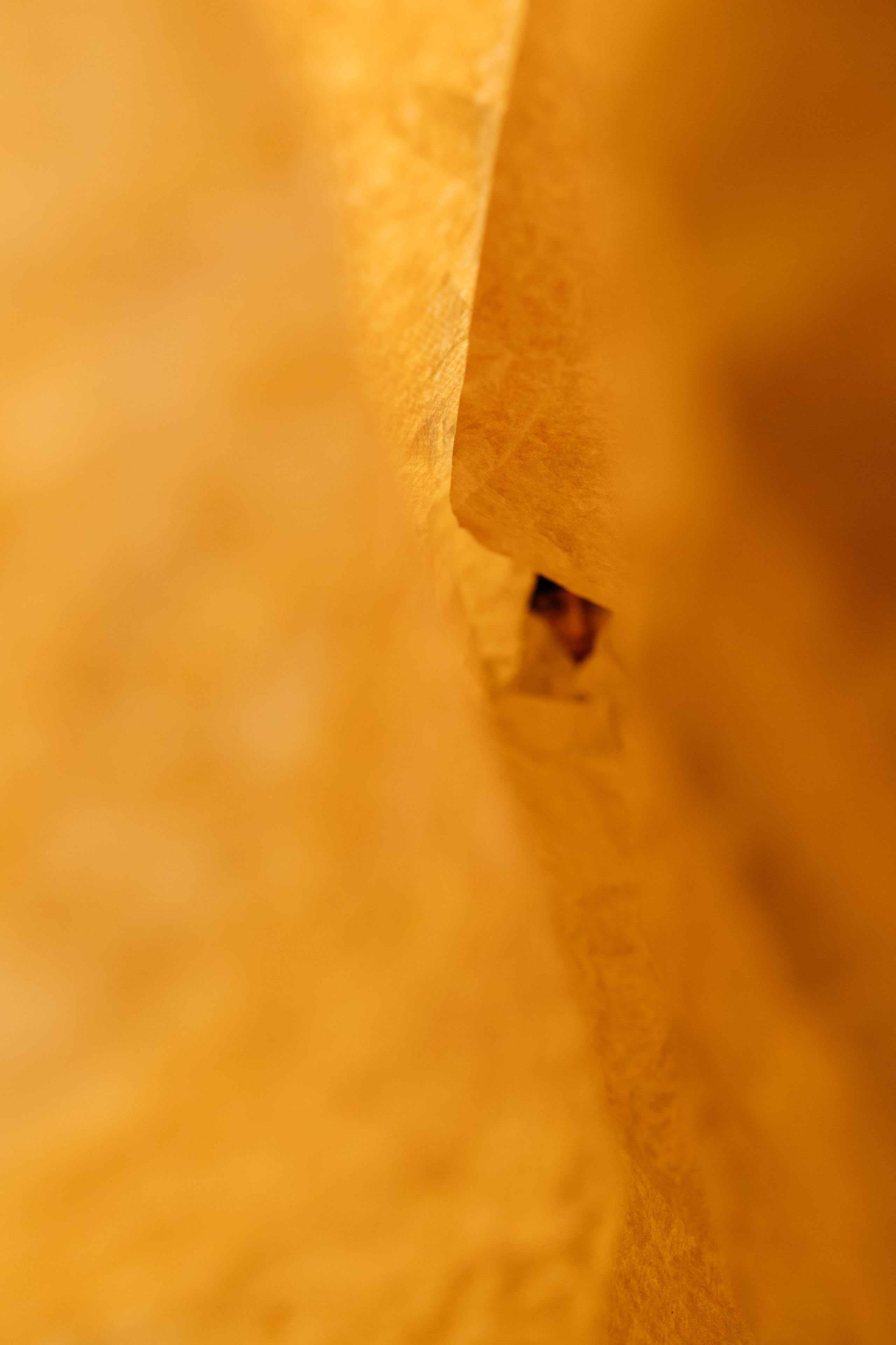 Оксана Ляшенко фотограф Дніпро сімейна фотосессія, фотопрогулянка, фотопортрет студія Квітка студійна зйомка, фотограф Оксана Ляшенко фотограф в Днепре, семейная фотосессия, фотопрогулка, фотопортрет, портретная съемка, студийная съемка, ствудия Квітка, фотопроект, контент съемка, артзйомка