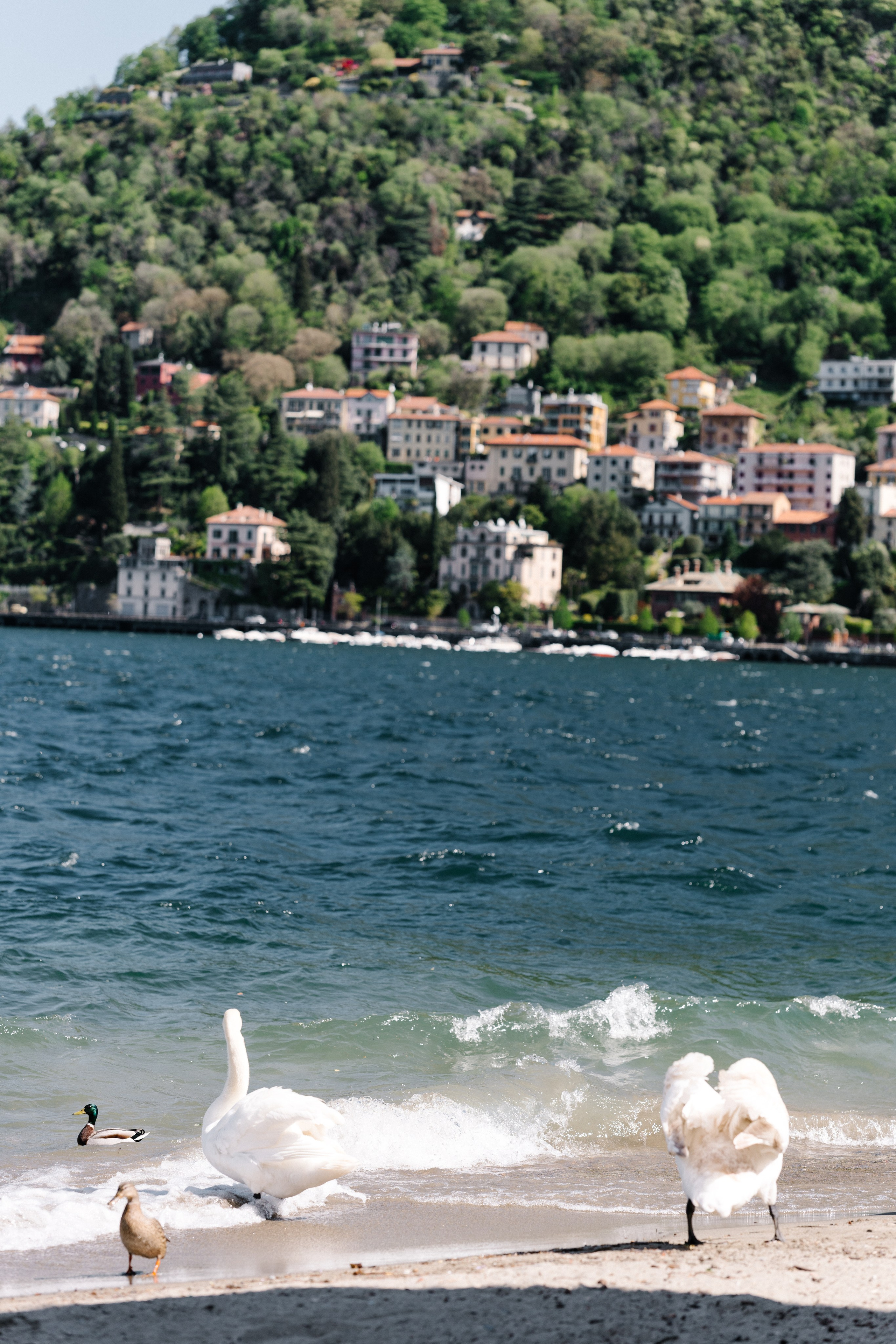 Pre-wedding. Fotografa Rimini