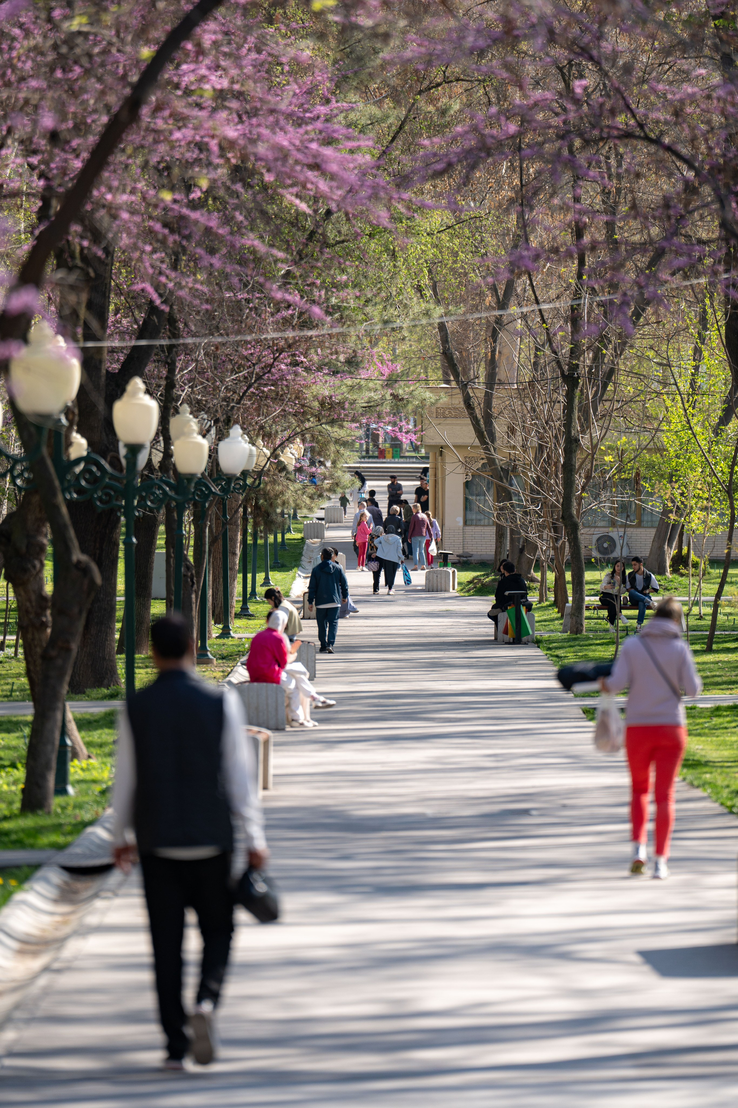 Весенний вайб Ташкента. Георгий Намазов | Фотограф в Ташкенте