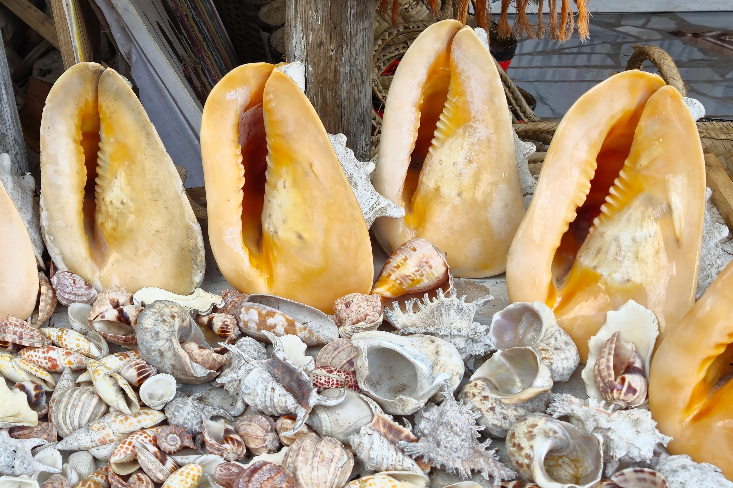 Занзибар. Elina Reisen. Туристическое агентство в Аугсбурге