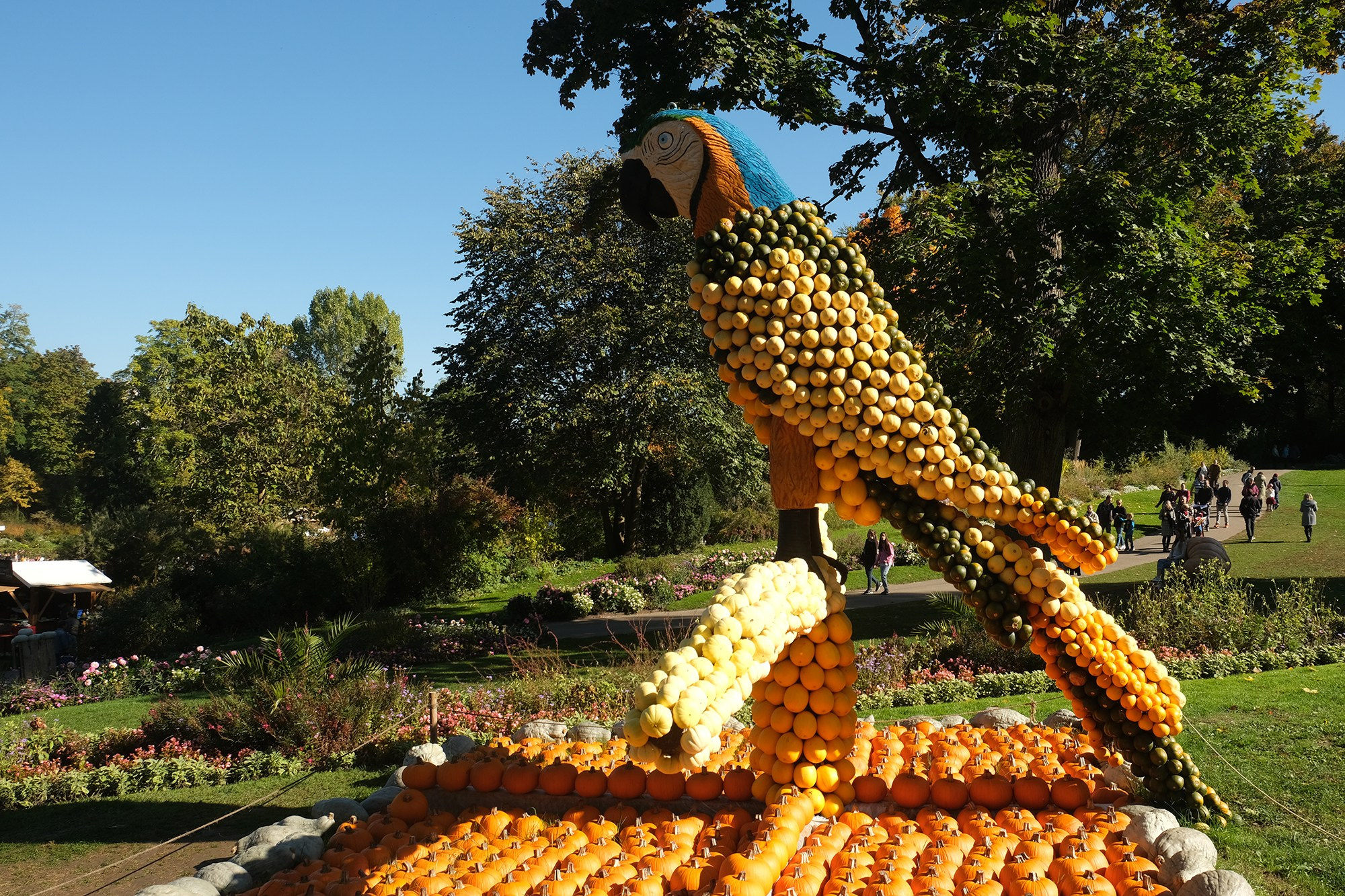Фестиваль тыквы. Elina Reisen. Туристическое агентство в Аугсбурге