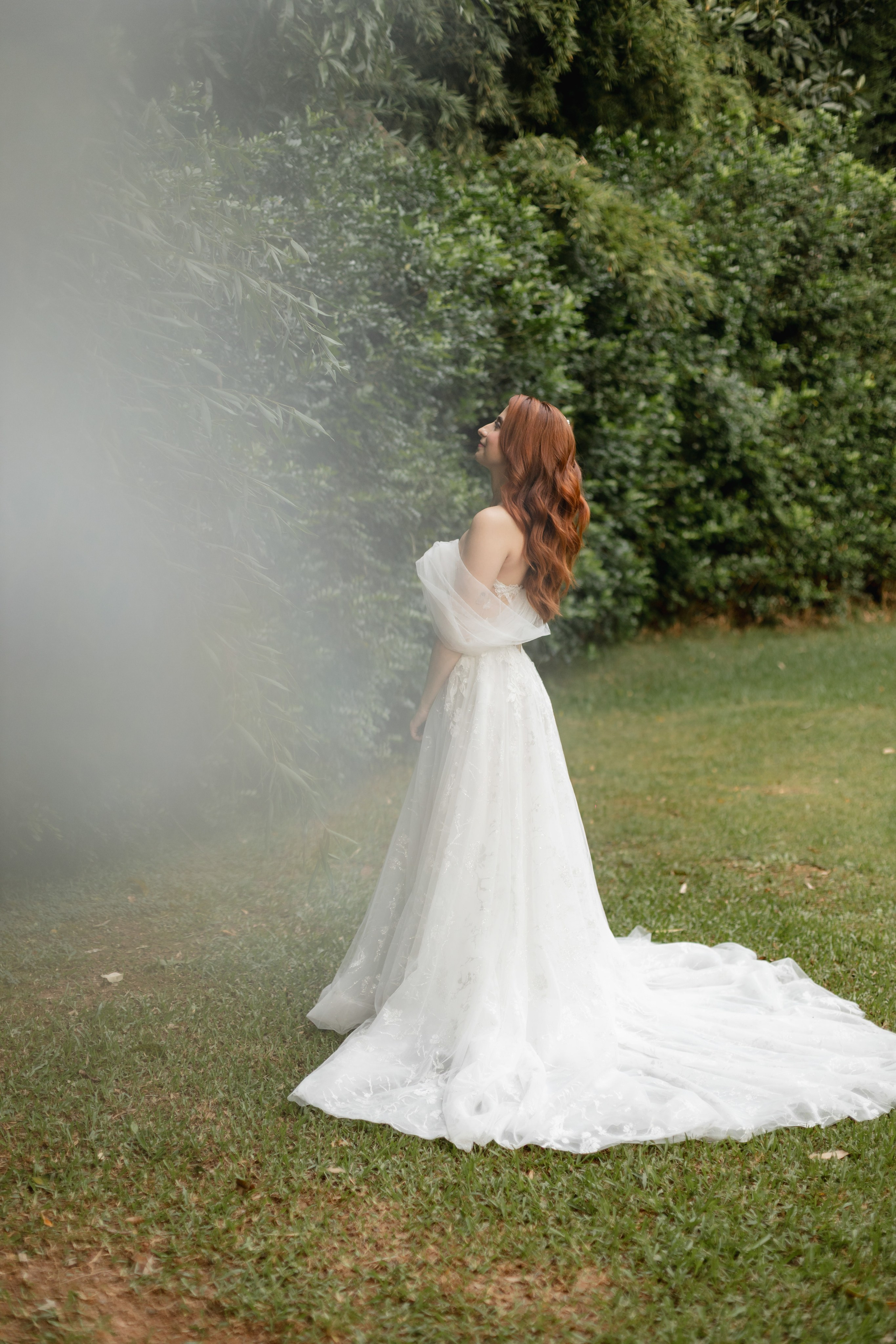 Editorial Dom Brunello