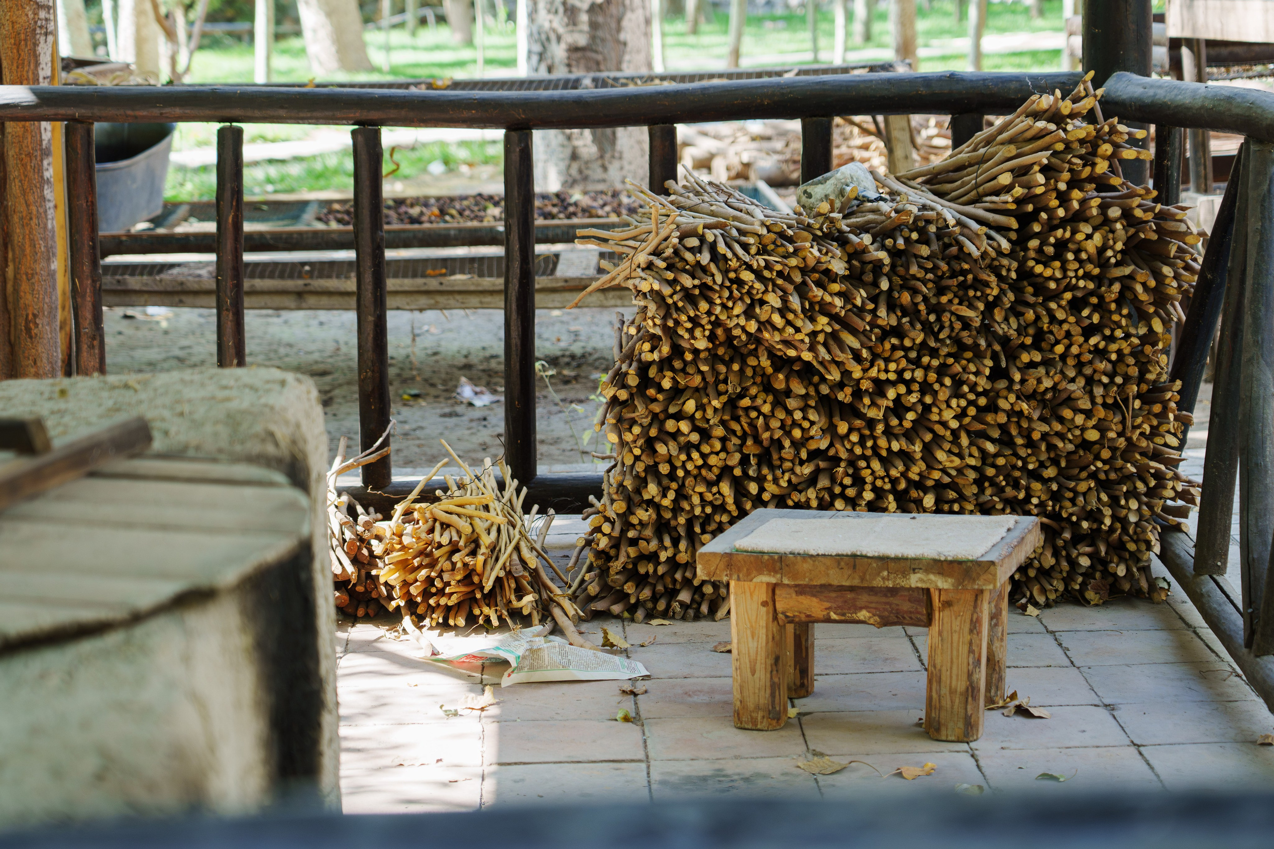 Делегация Синьхуа. Георгий Намазов | Фотограф в Ташкенте
