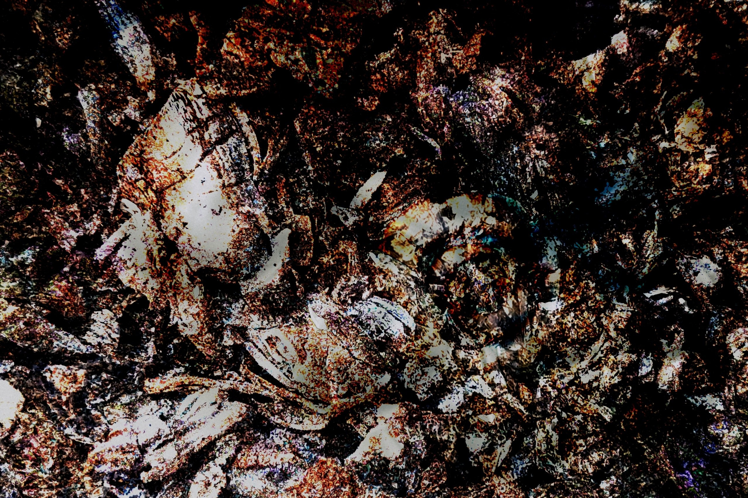 Продаж робіт. Photographer artist Liashenko Oksana