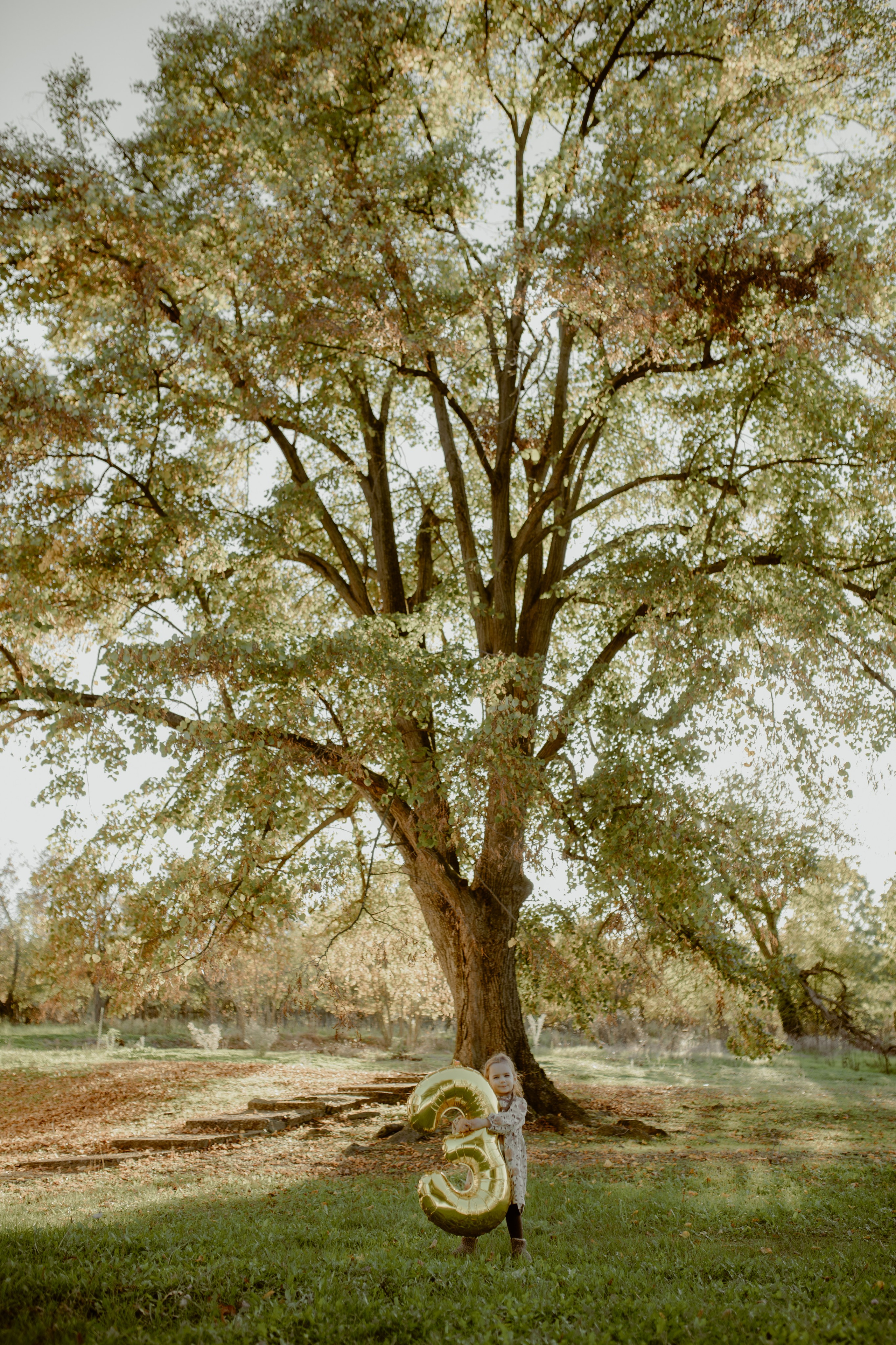 Deca. Wedding & Family photographer Jelena Anđelić