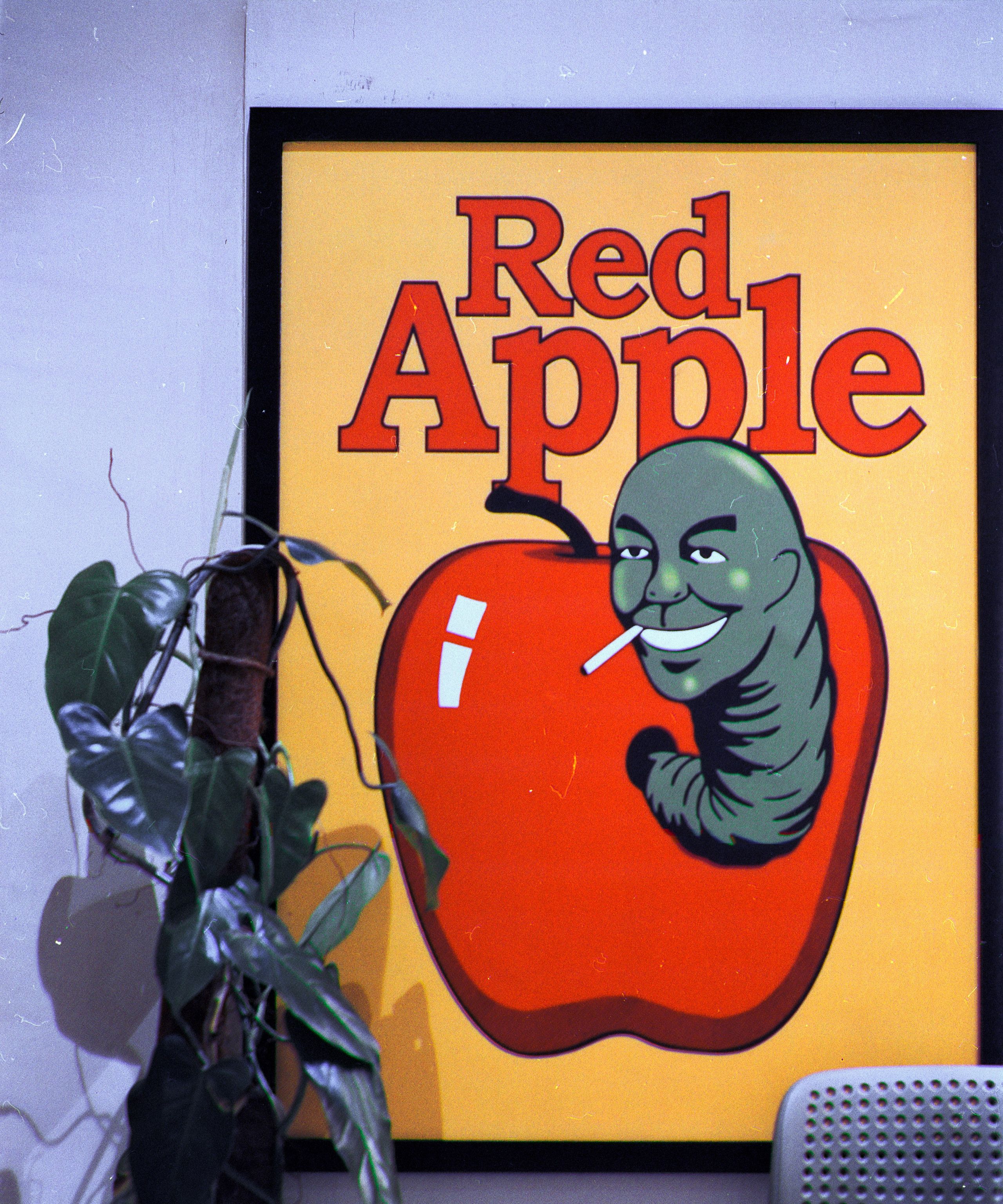 Everything on Film. Portrait, Fashion & Fitness Photography in Chennai| SunnyHazePhotography