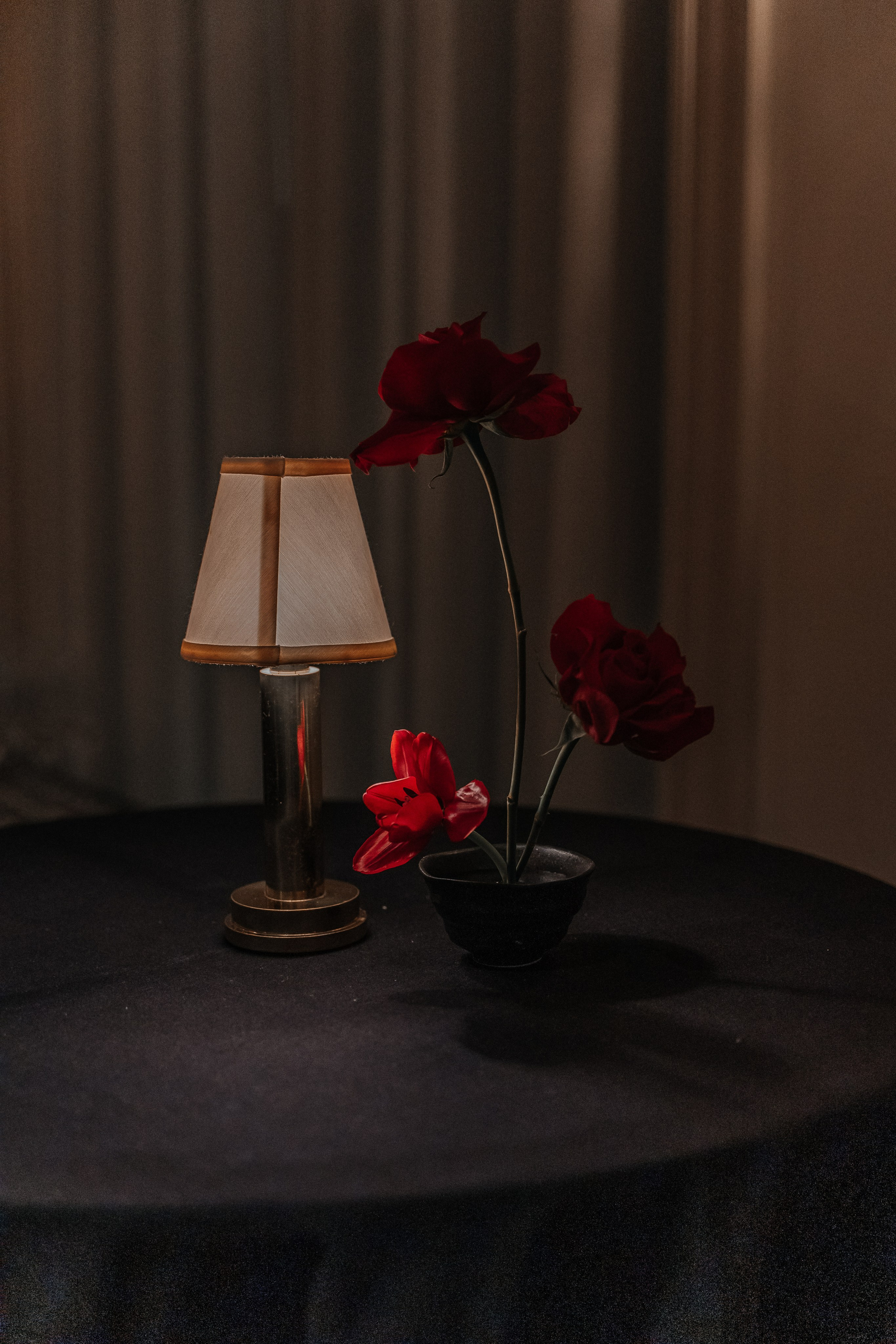 Helia & Darius elopement. Anna Krasnova Wedding photographer