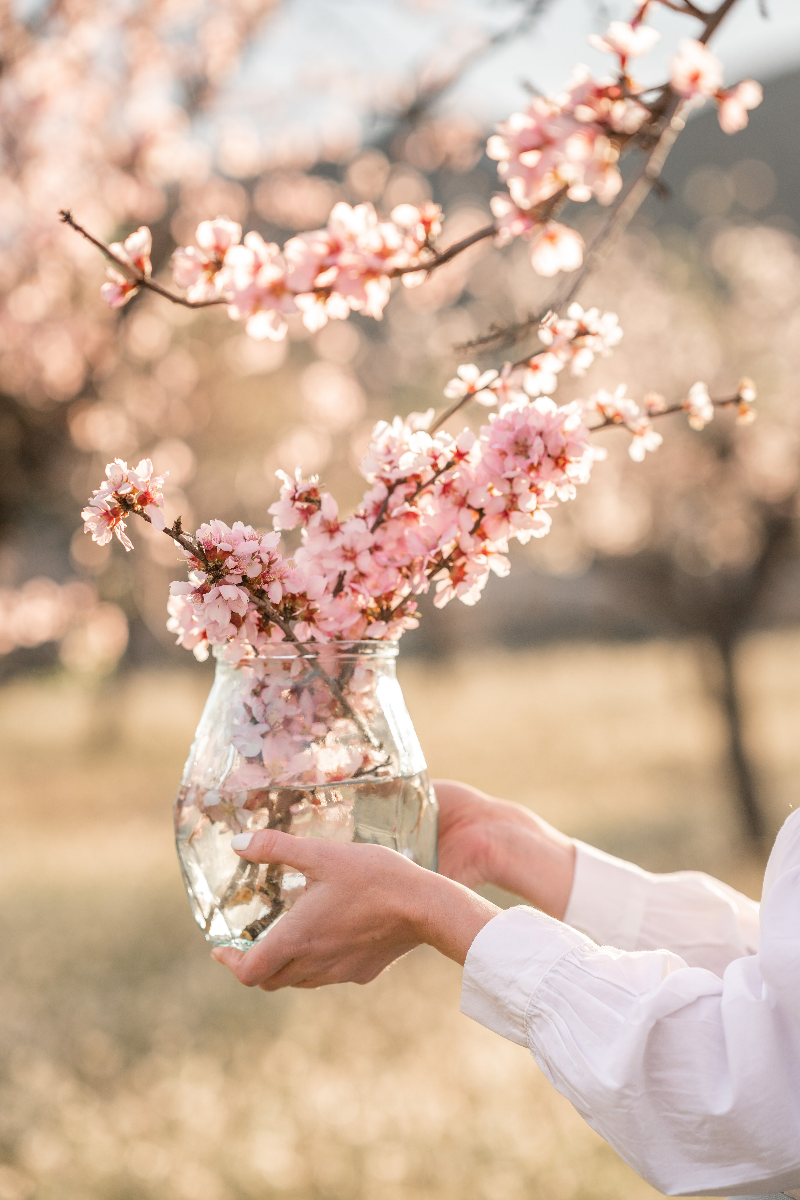 El florecer de los almendros. Fotografía Infantil, Familiar y Personal en Benidorm y Costa Blanca Anastasiya López