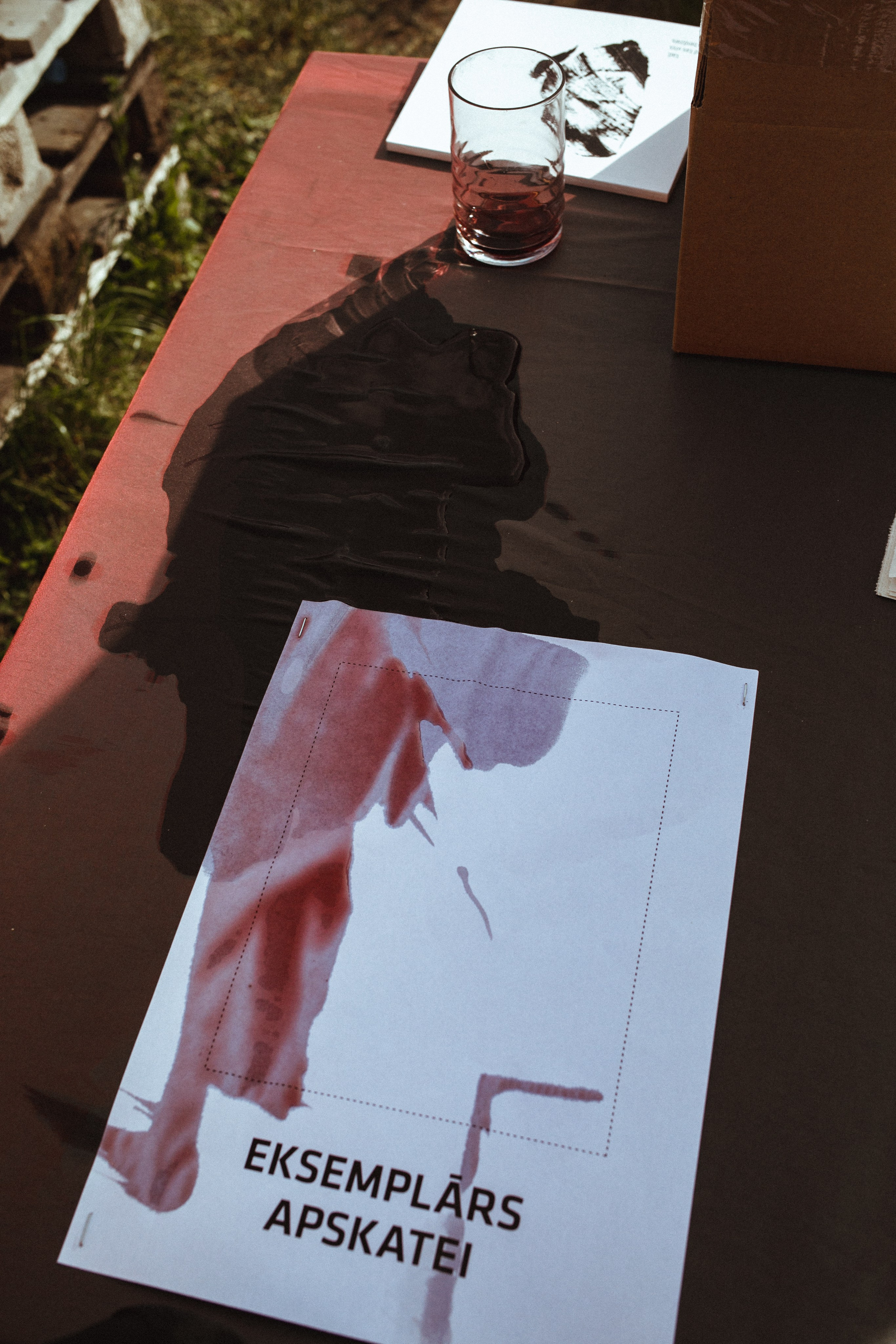 Lastadija 2020 “Kad tas būs beidzies” grāmatas svētki. Sandra Garanca Portrait and event photographer