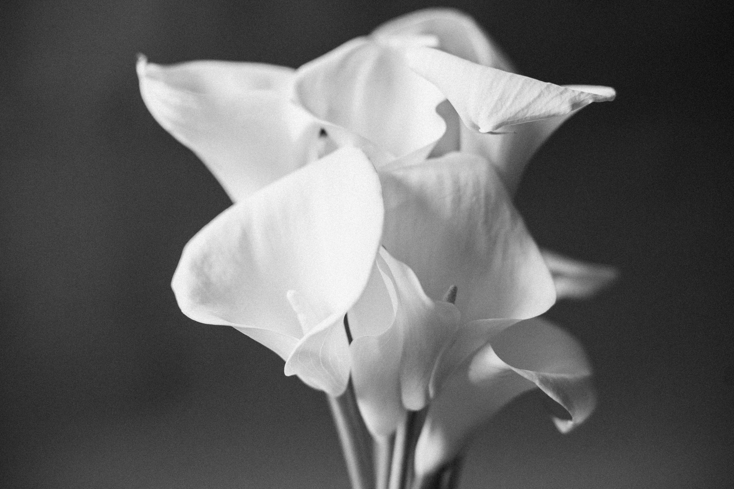 Photographer Cathrin.D