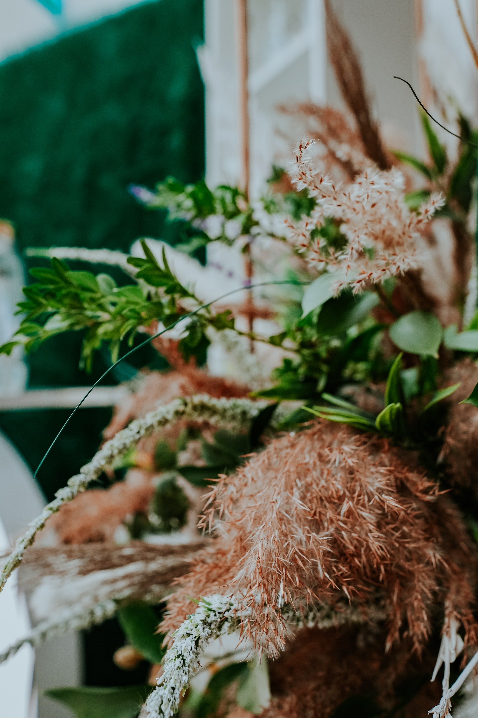 Hai cu Pluta — Wine Event. MARINABUGS