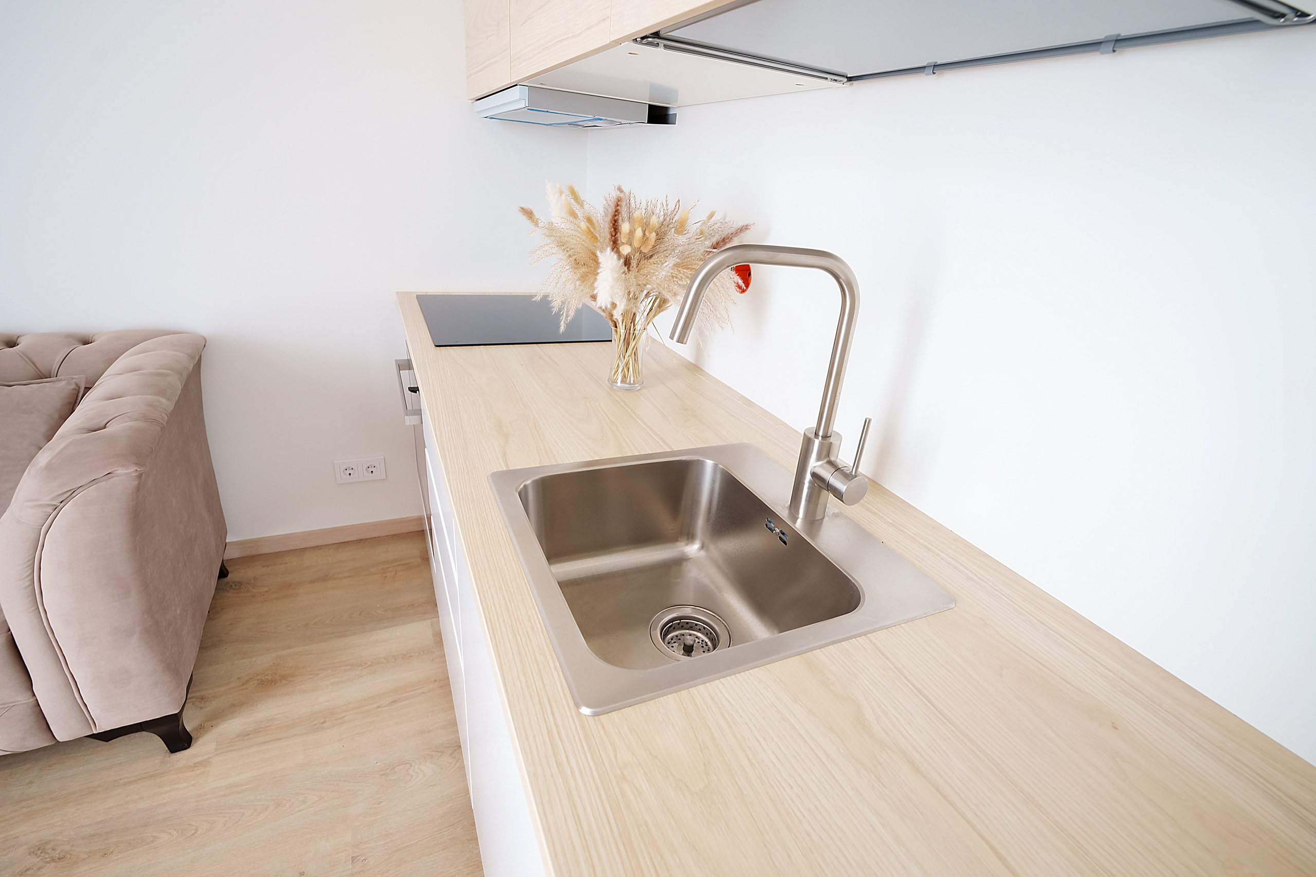 Mazuriškių g, 188. Elina Sapiega fotografė Vilniuje