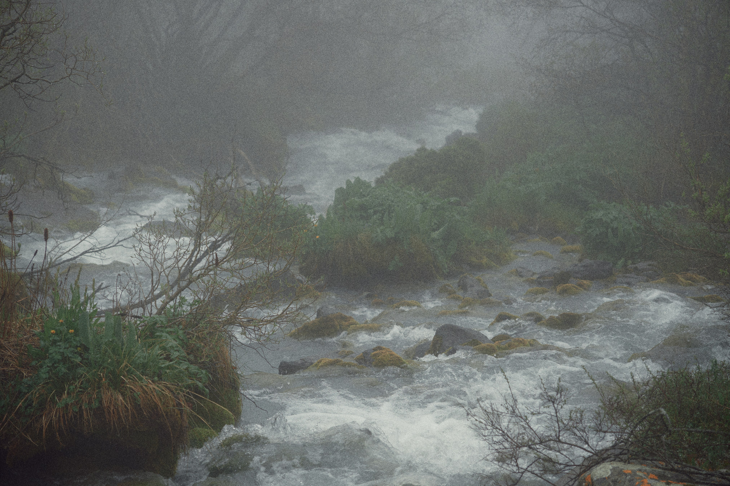 Nature. The Photographer