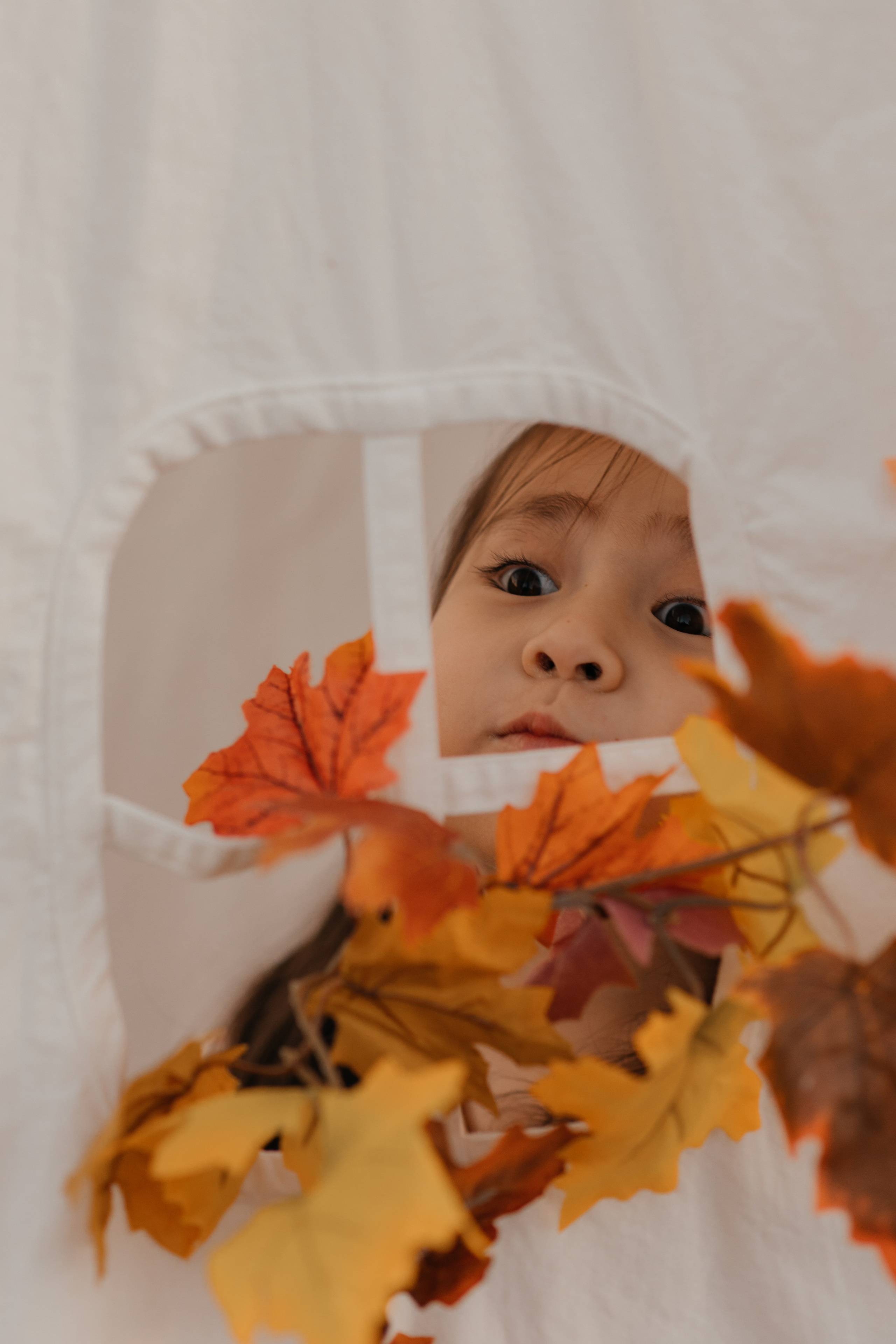 FALL Mini Session. Professional Photography in Austin, TX — Family, Newborn, Maternity