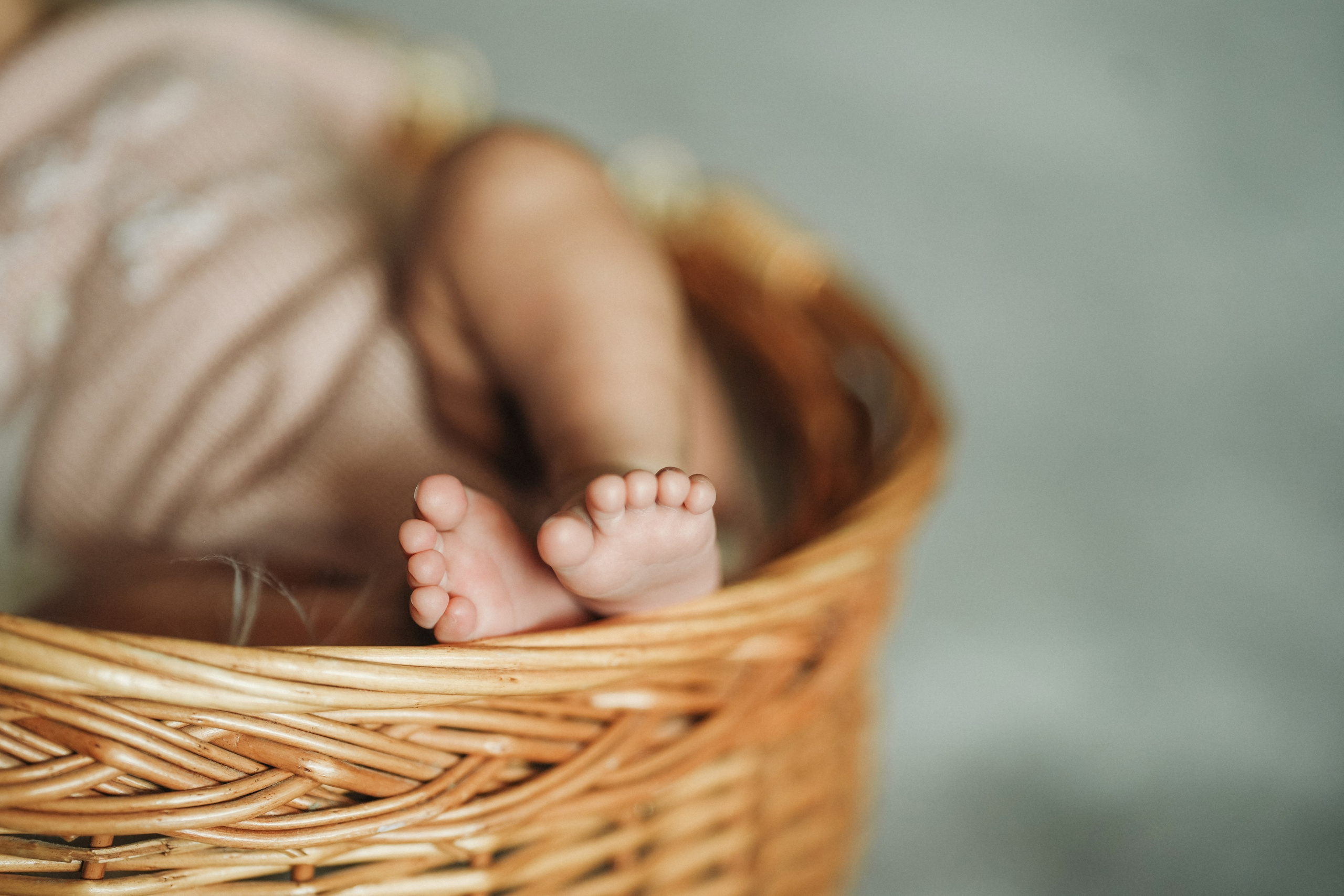 Calgary Family and Child & Wedding Photographer