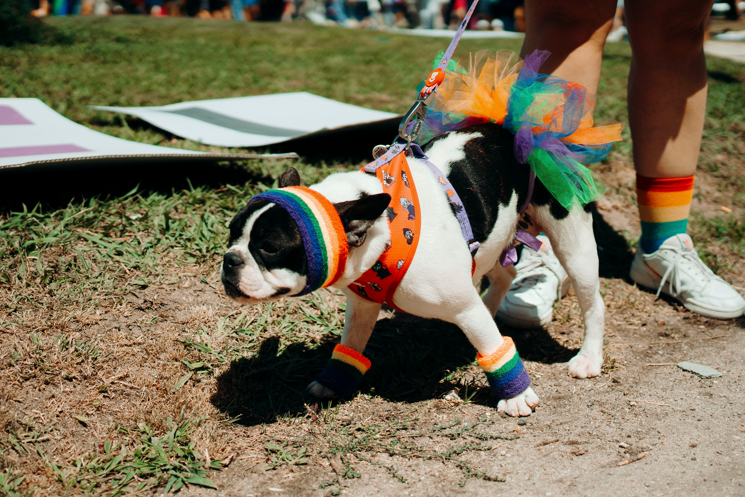 Porto Pride 2023. Maria Sher. Fotógrafa profissional do Porto, Portugal