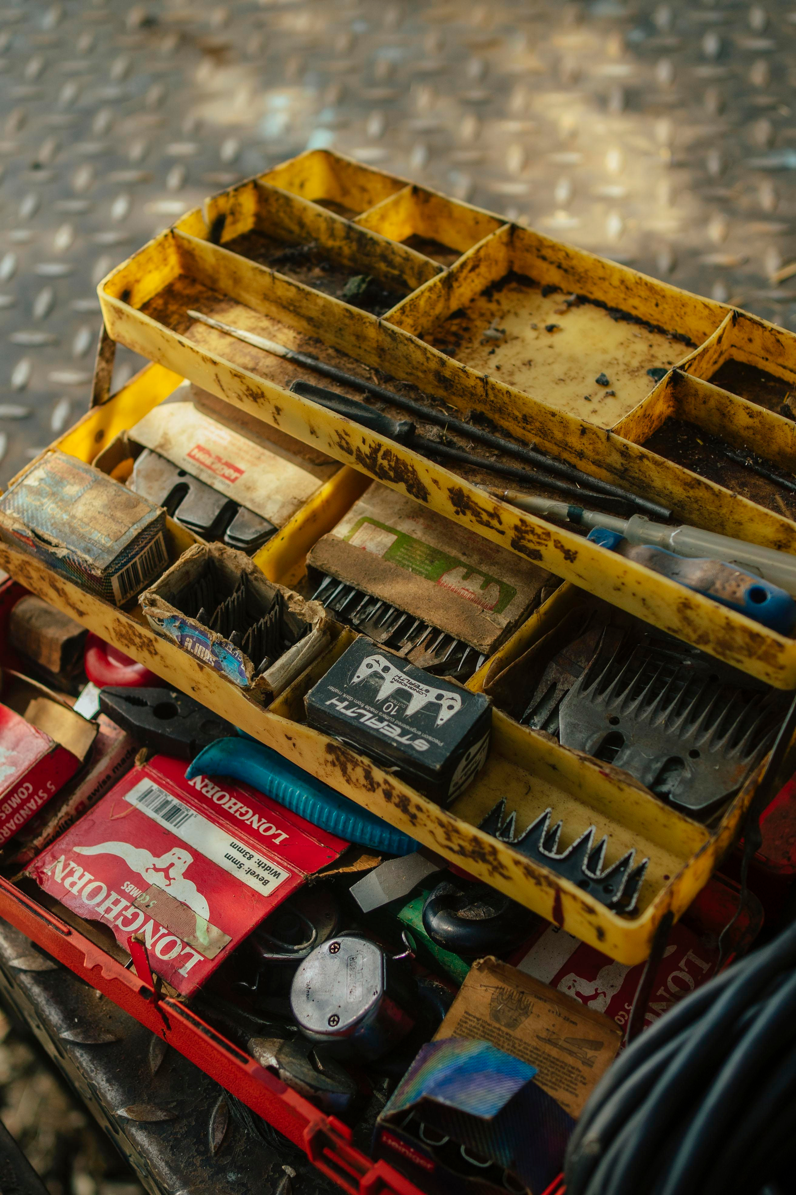 Sheep Shearing in Marvão. Maria Sher. Fotógrafa profissional do Porto, Portugal