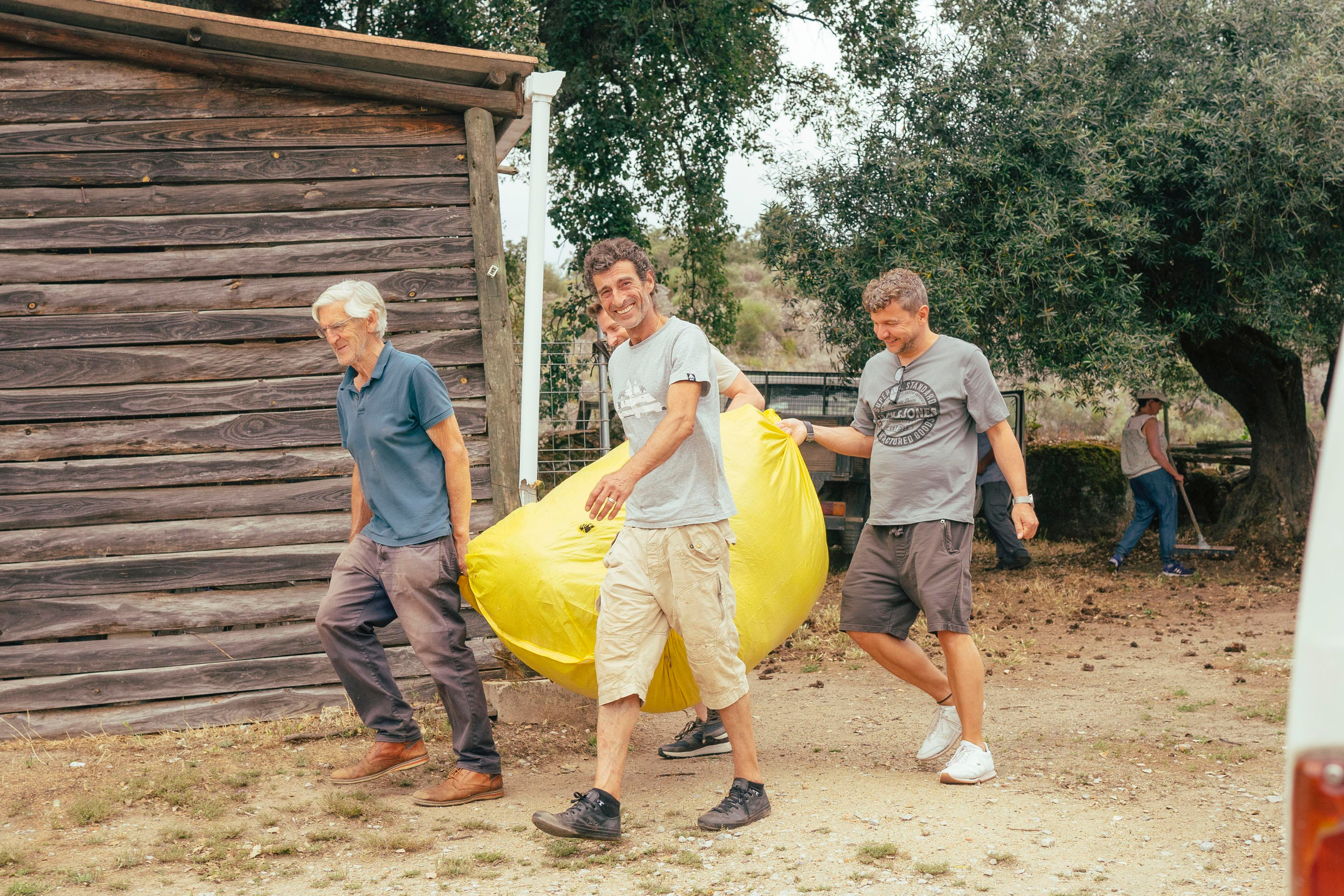 Sheep Shearing in Marvão. Maria Sher. Fotógrafa profissional do Porto, Portugal