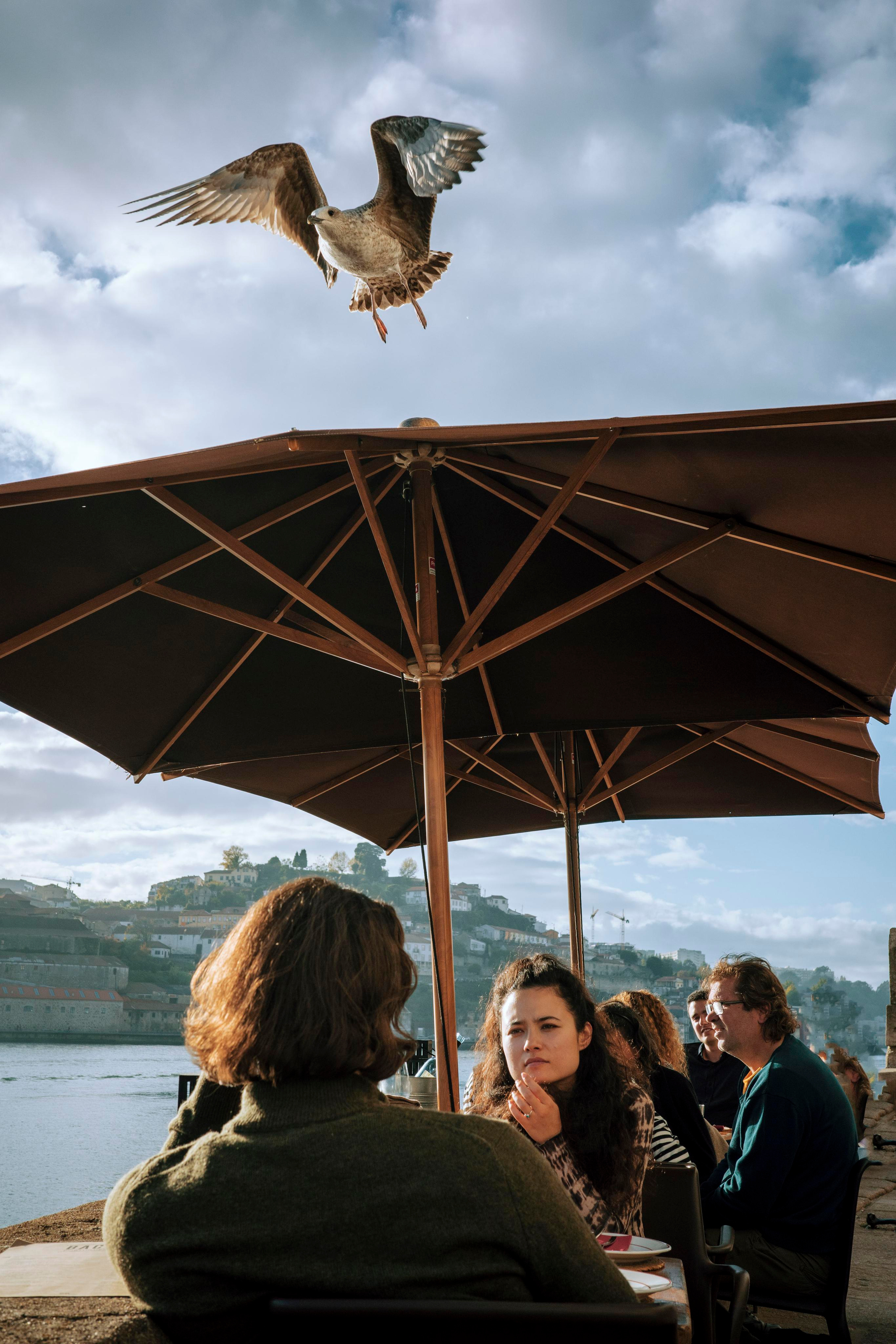 Street. Maria Sher. Professional photographer from Porto, Portugal