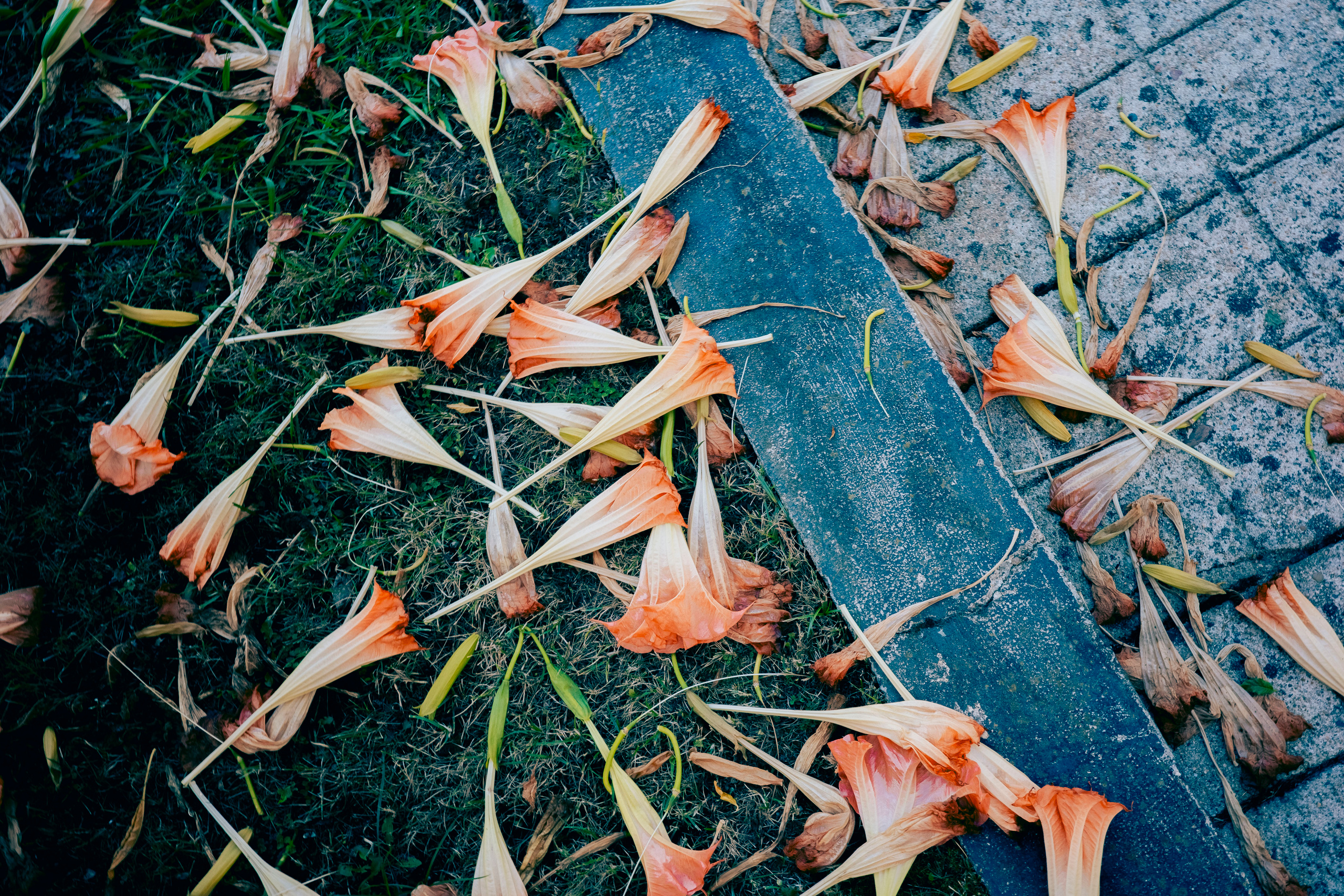 Street. Maria Sher. Professional photographer from Porto, Portugal