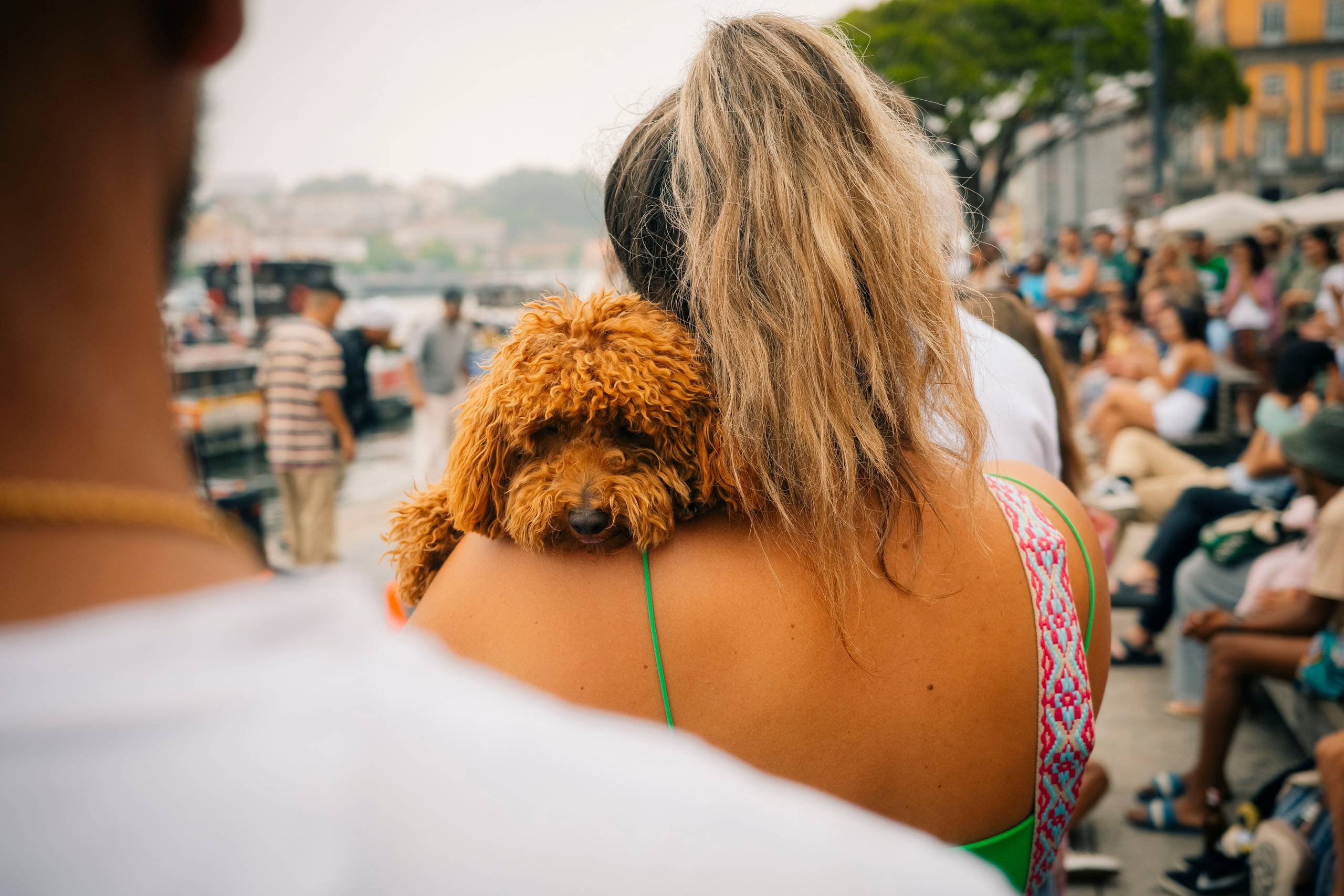 Street. Maria Sher. Professional photographer from Porto, Portugal