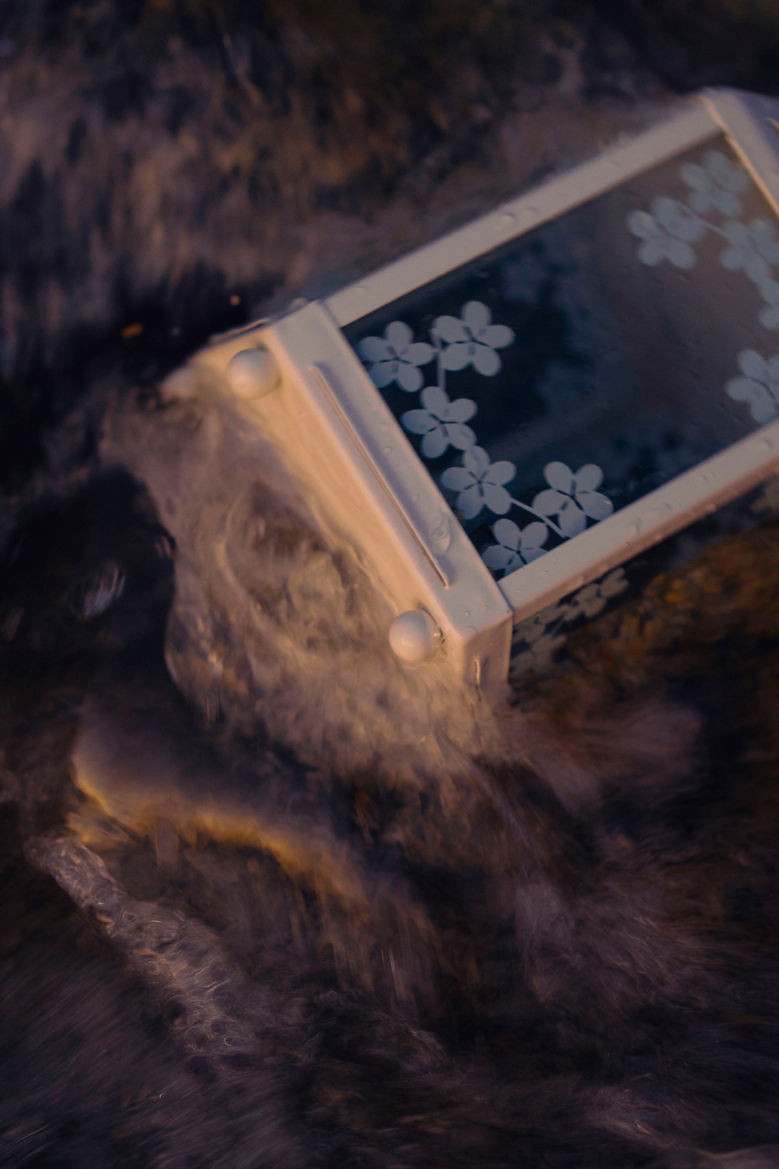 Yulia. Maria Sher. Fotógrafa profissional do Porto, Portugal