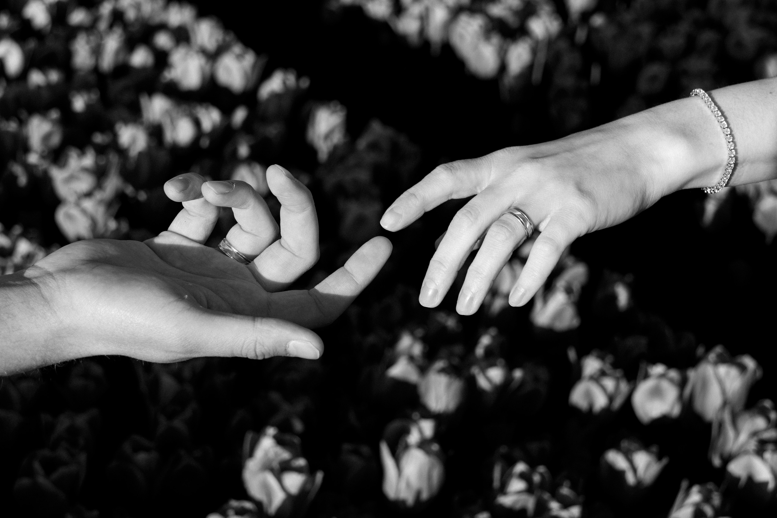 V&V. Fotograf Anastasia M