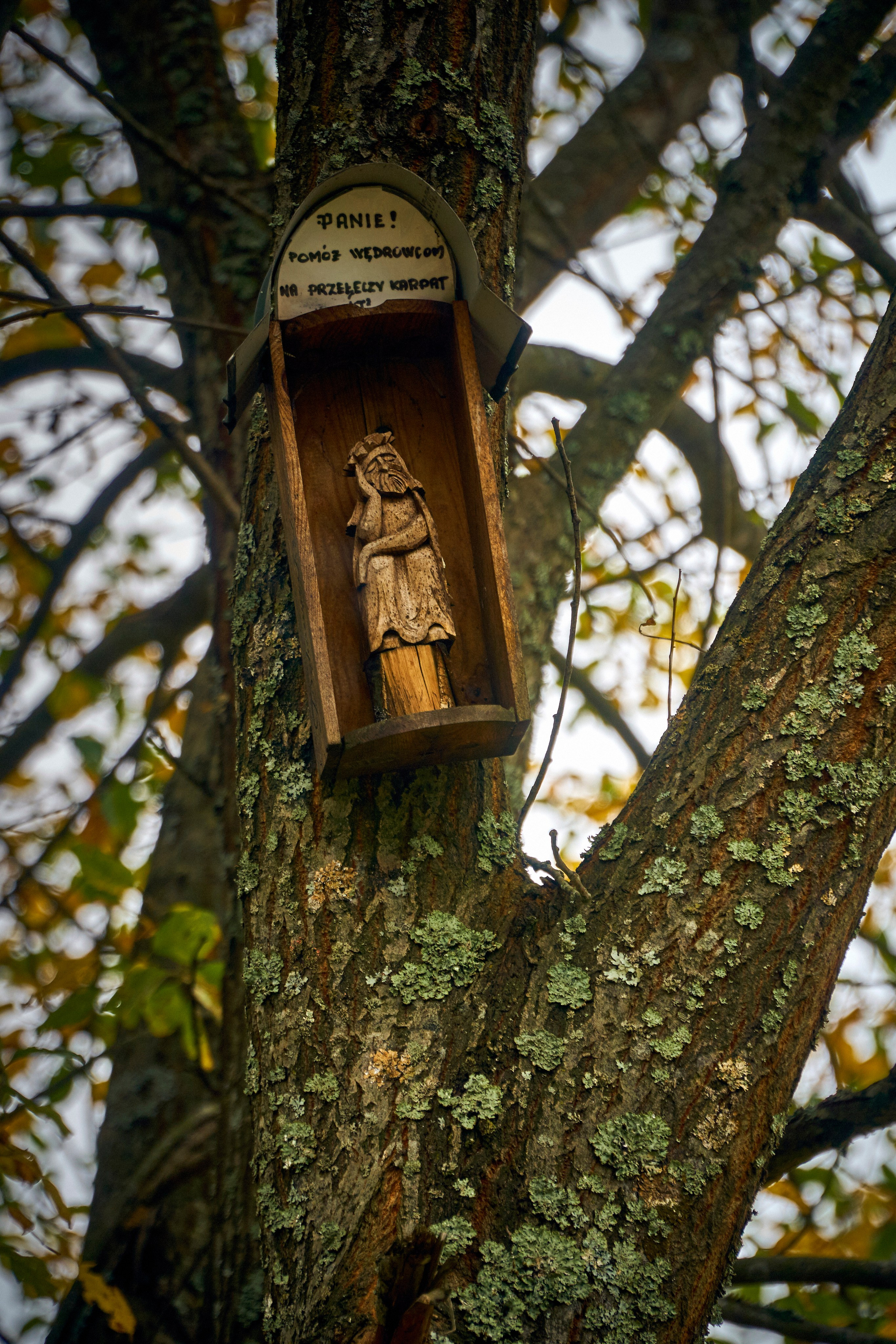 Бещады — здесь остановилось время. Андрей Шипилов — Фотография & Видеография