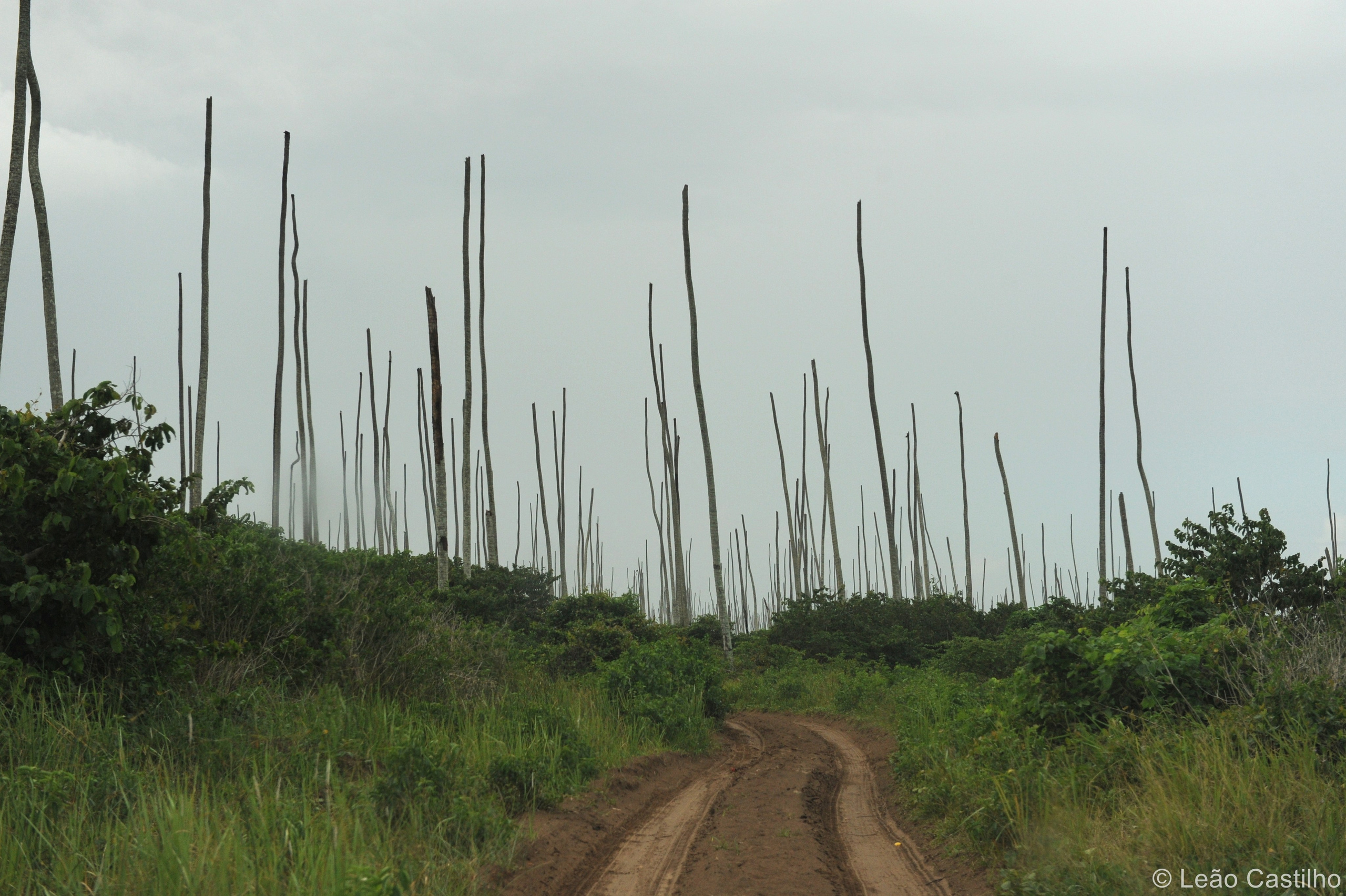 Photos from Mozambique. Simbahalu