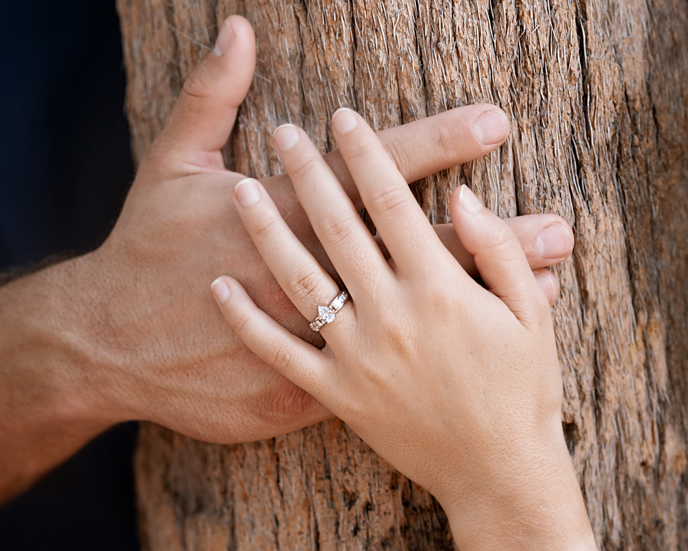 Secret Proposal. Portrait, kids and family photographer in Wesley Chapel Alina Alice Osipova
