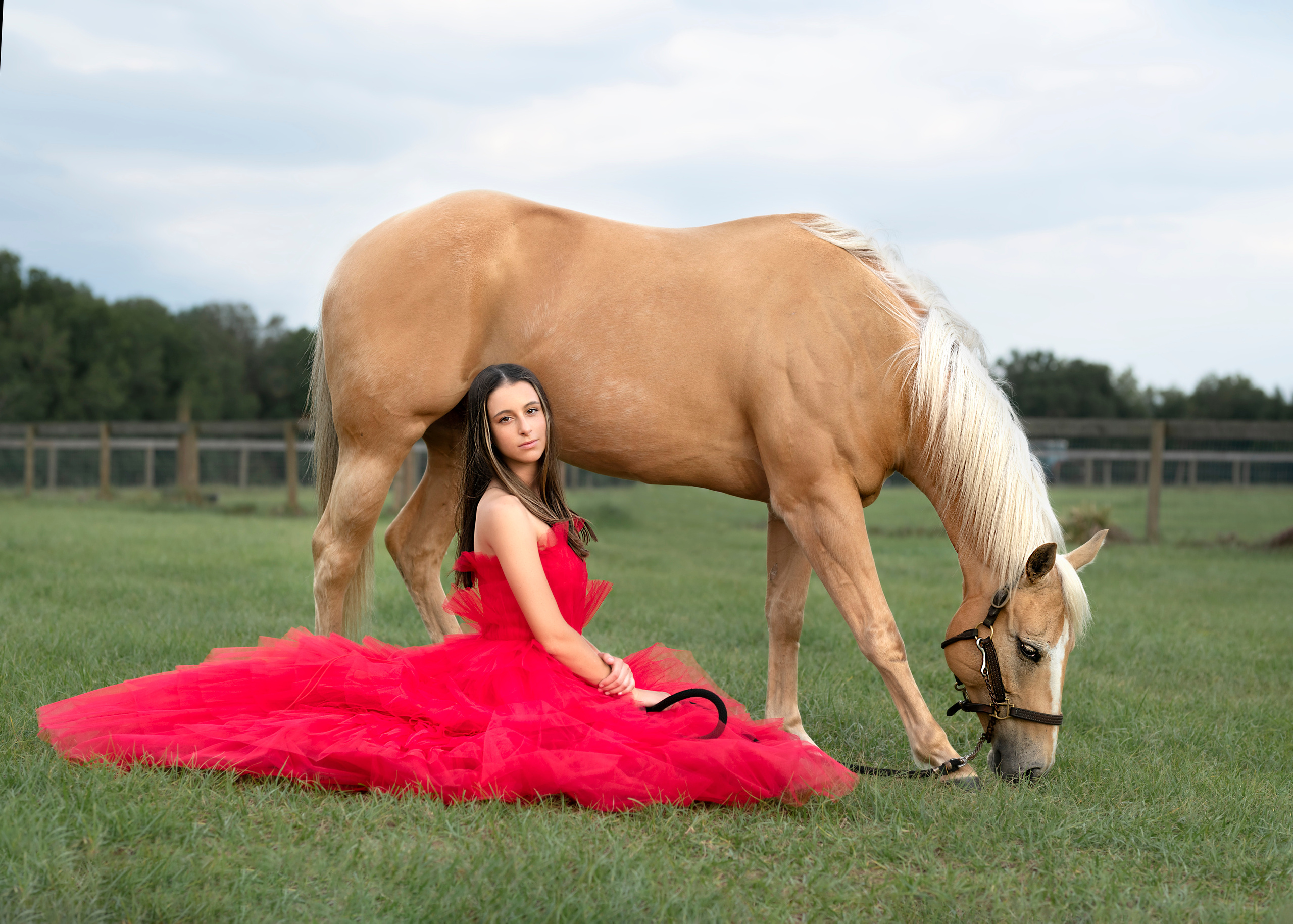 Beautiful dresses for rent. Portrait, kids and family photographer in Wesley Chapel Alina Alice Osipova