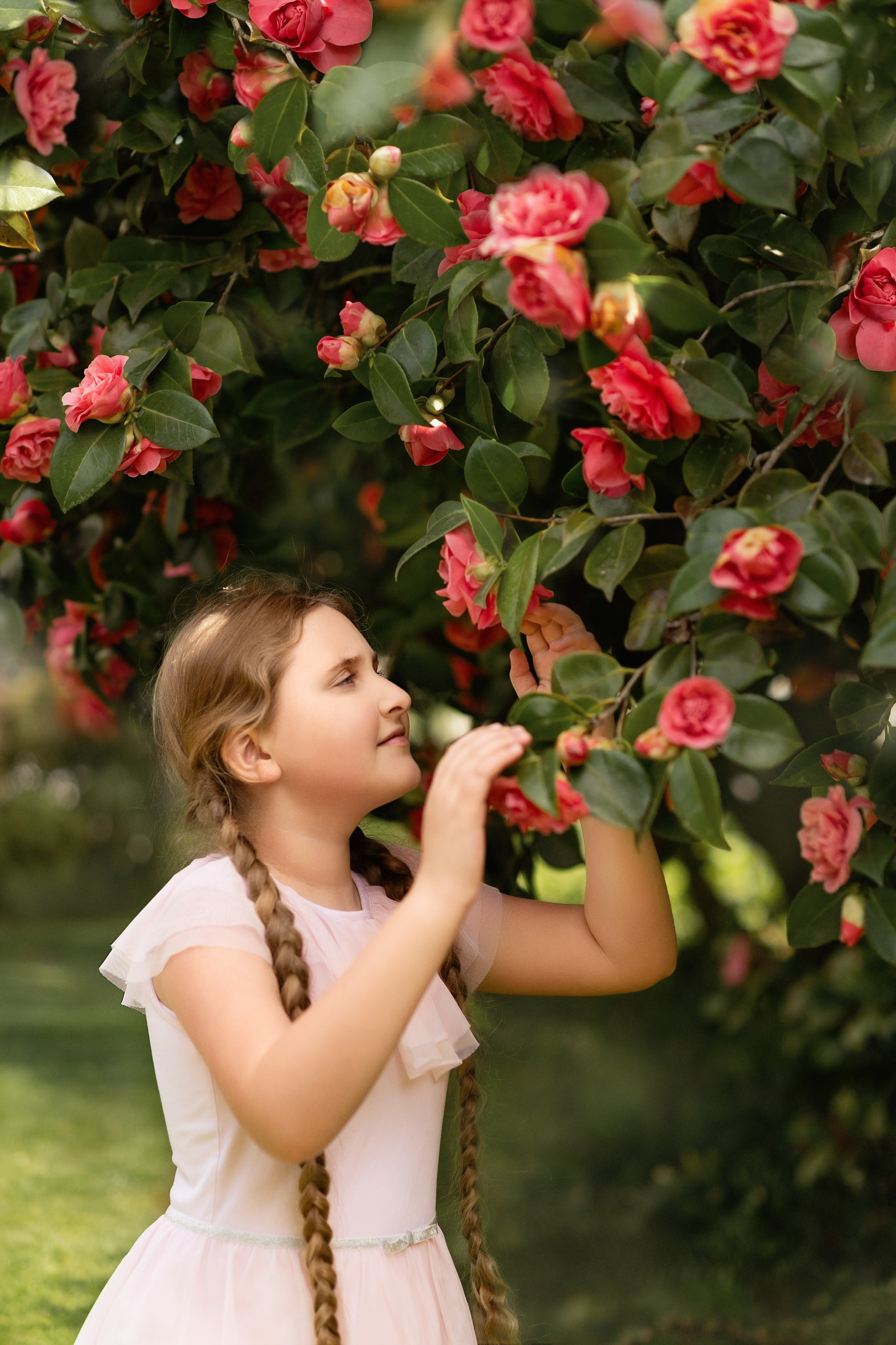 Lilac garden. Wedding & portrait photography in the Seattle Area. Helen Michelle photographer