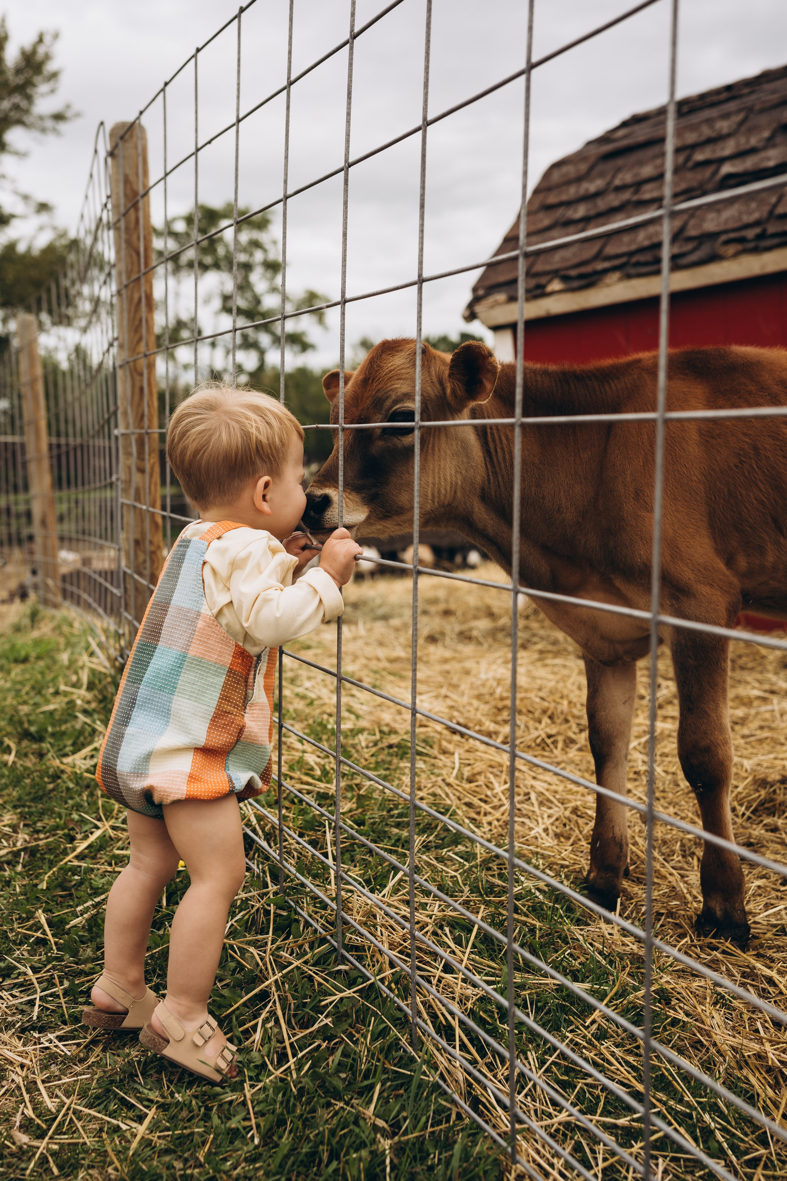 Lev. Calgary Wedding & Lifestyle Photographer — Yevhen Polishchuk