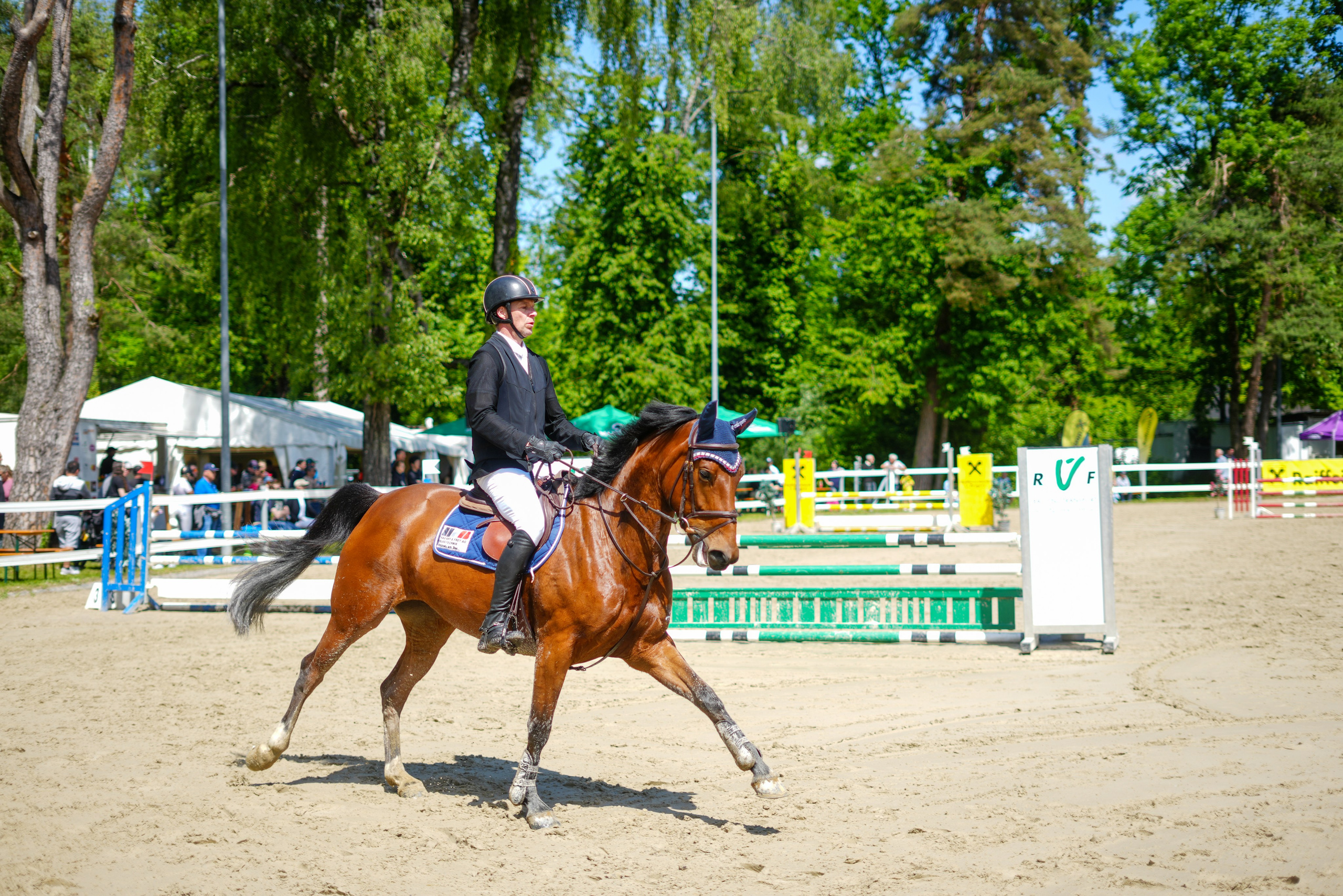 Equestrian Competition