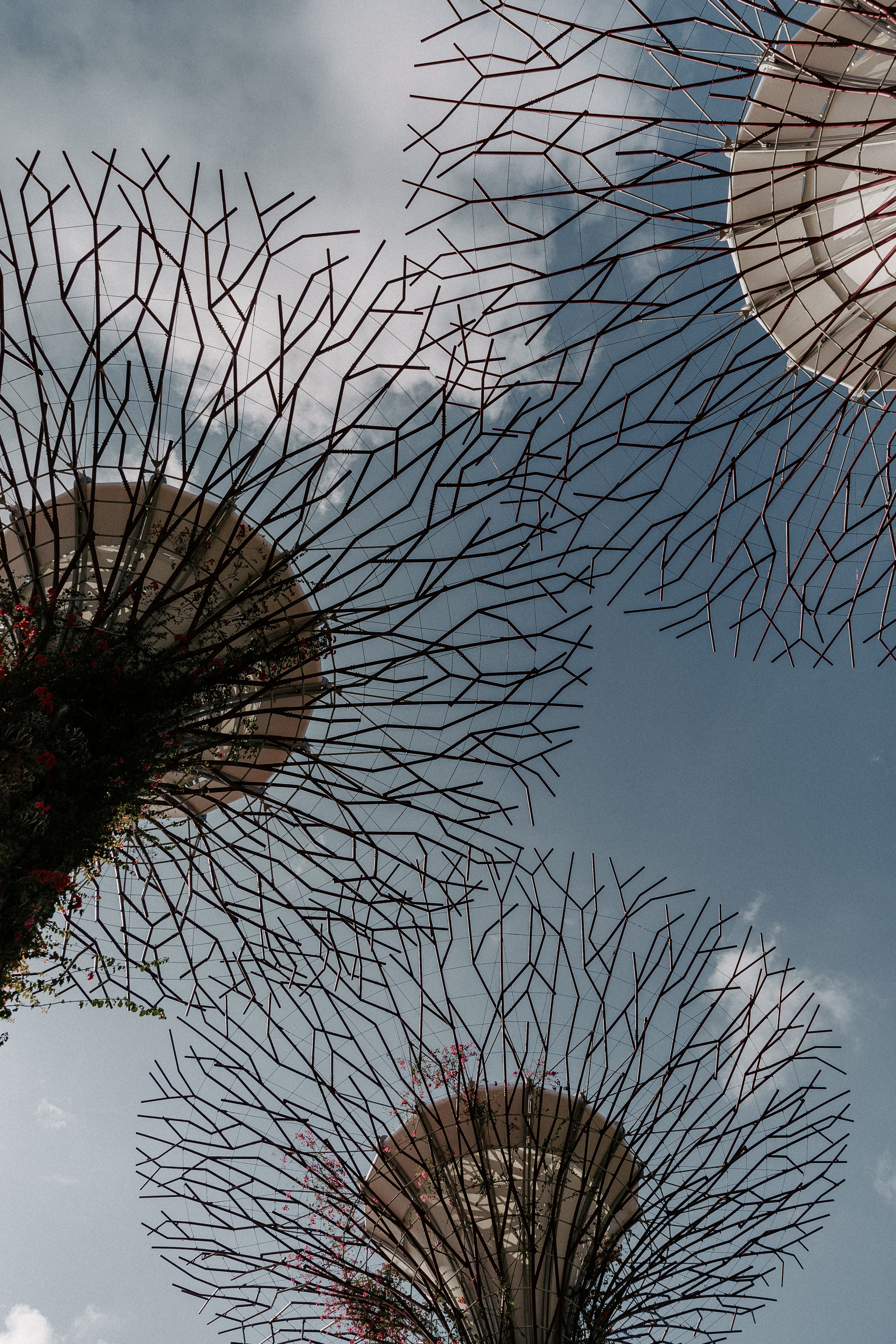 Once upon a time in Singapore. Photographer in Singapore Kate Bird