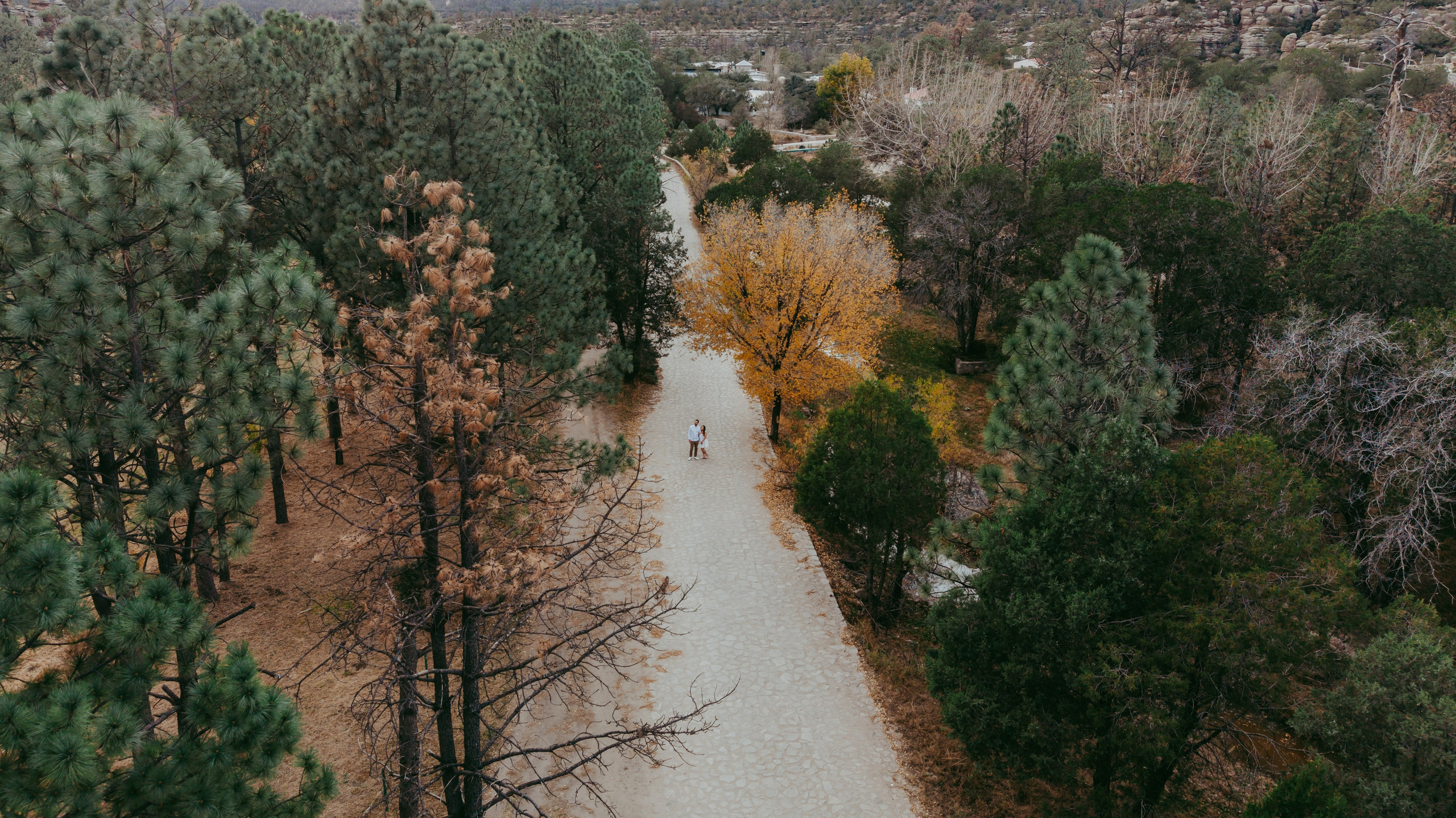 Wedding photographer in Chihuahua