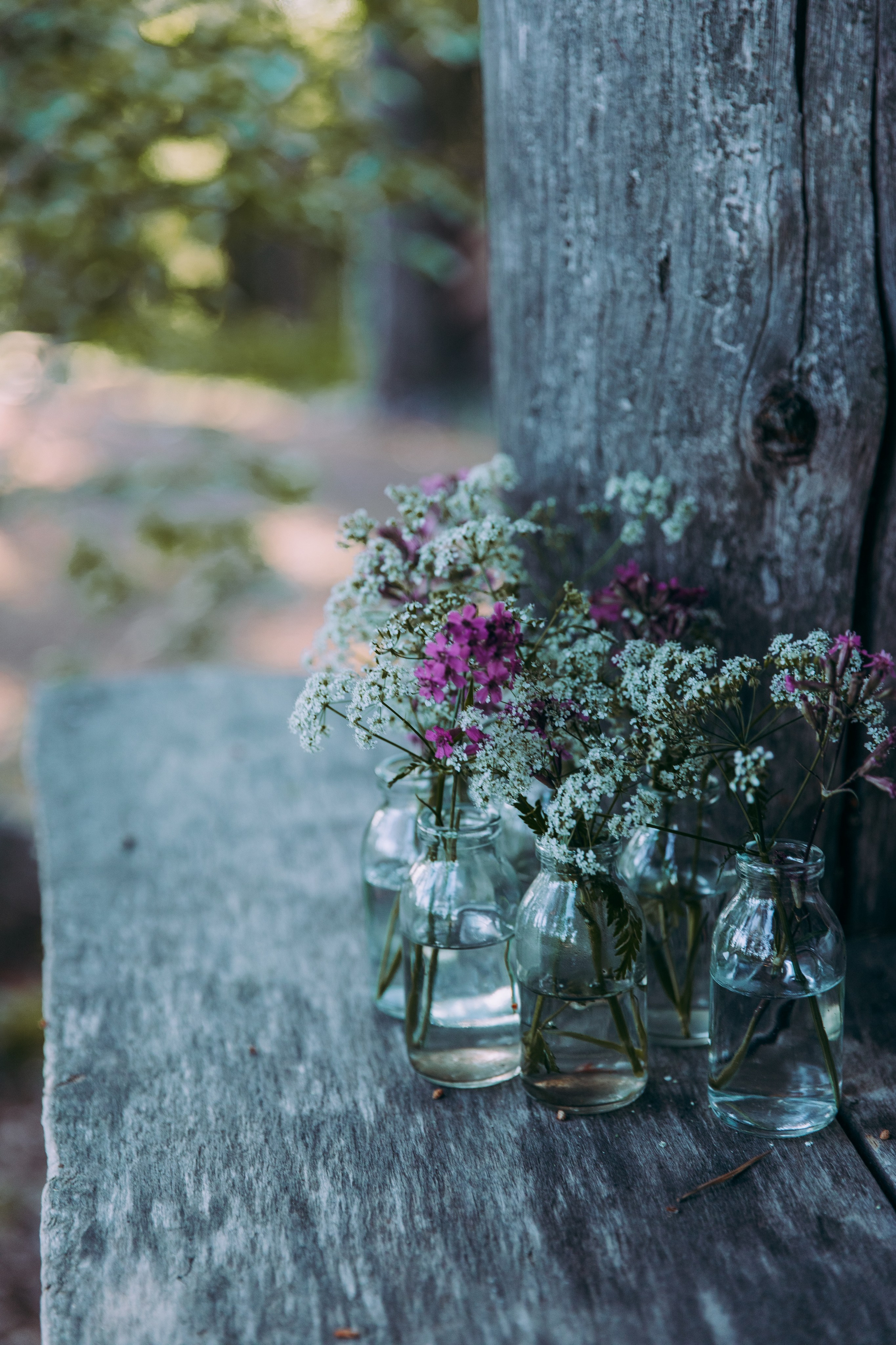 J&J. Valokuvaaja Itä-Uudellamaalla Viktoria photography