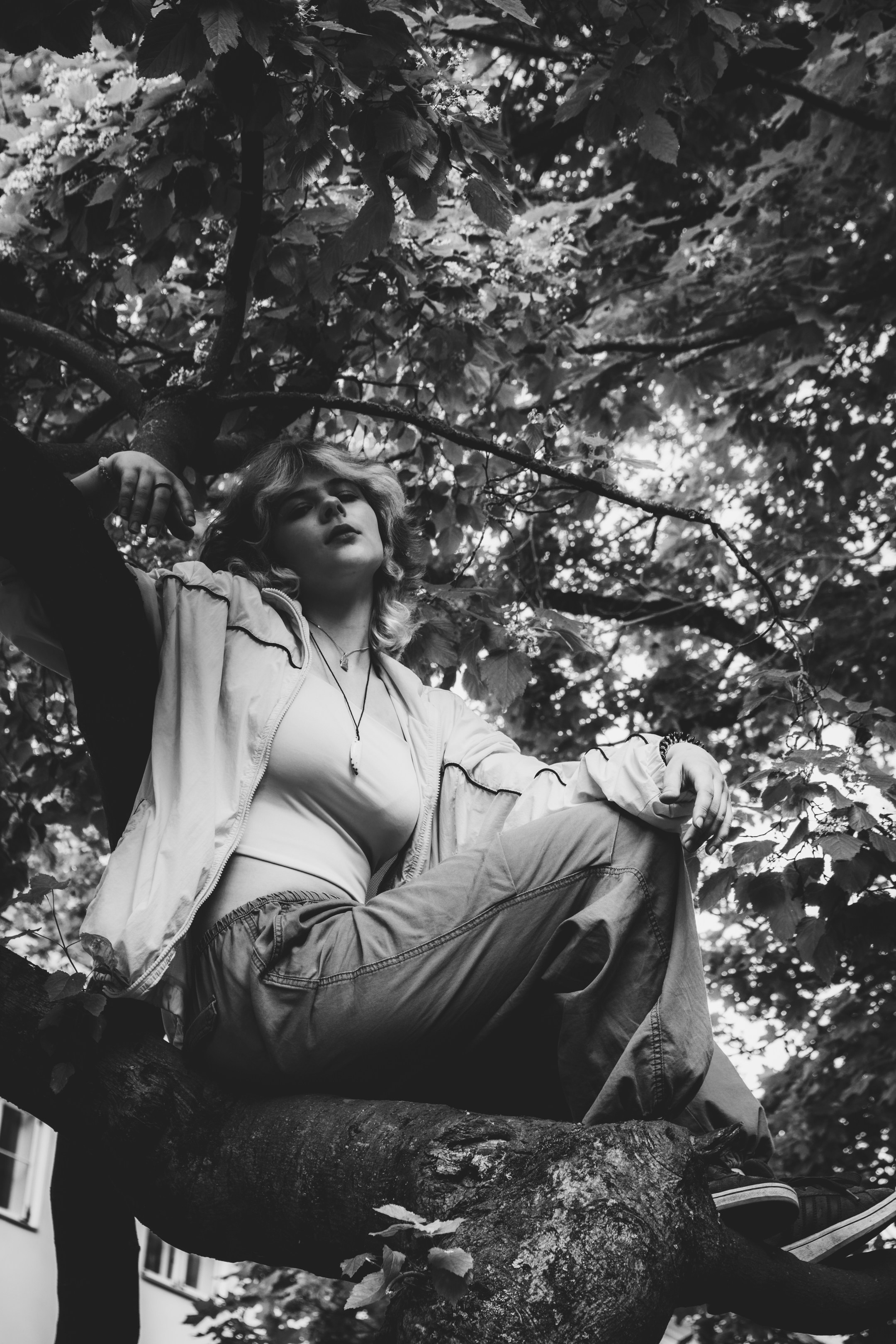 Lahe graatsia (Sonja). Nebula 25 — Fotod teie hingele