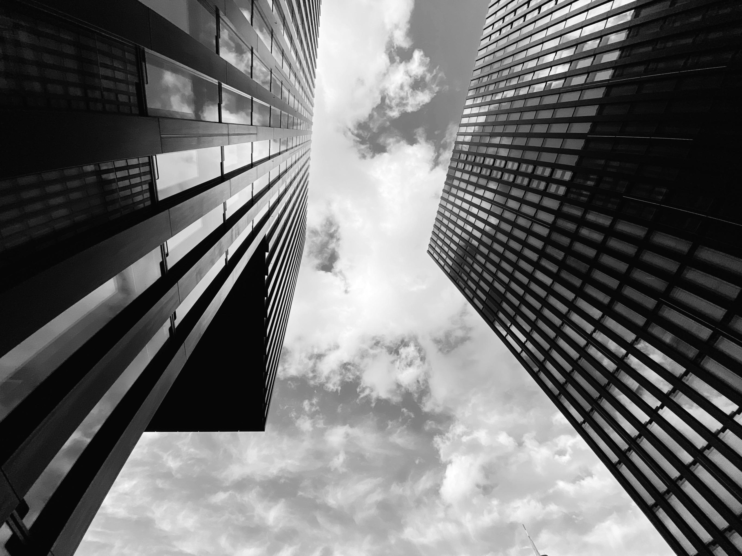 Welt. Fotografin Nina Wieberg