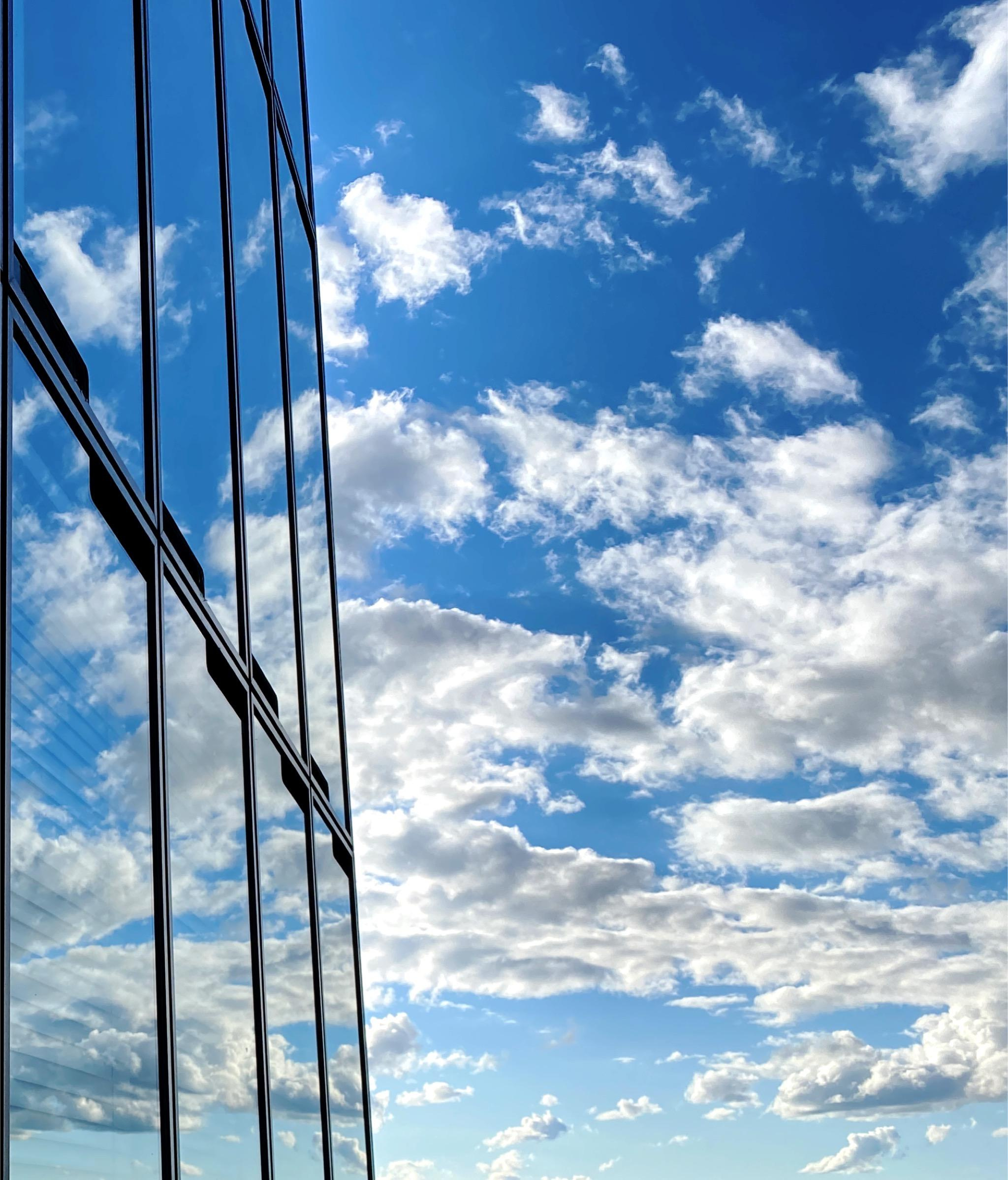 Welt. Fotografin Nina Wieberg