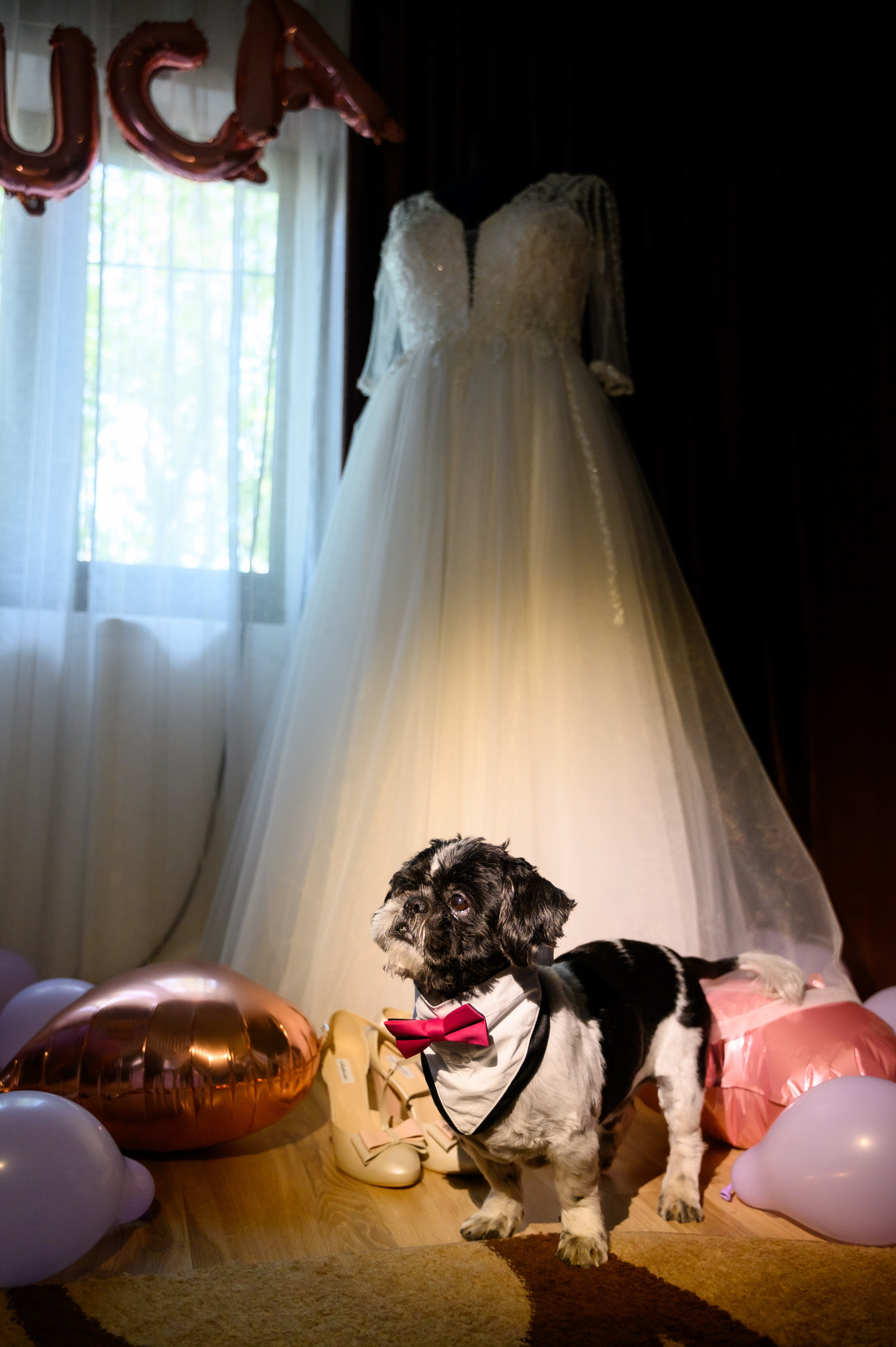 Nunta Raluca & Marius