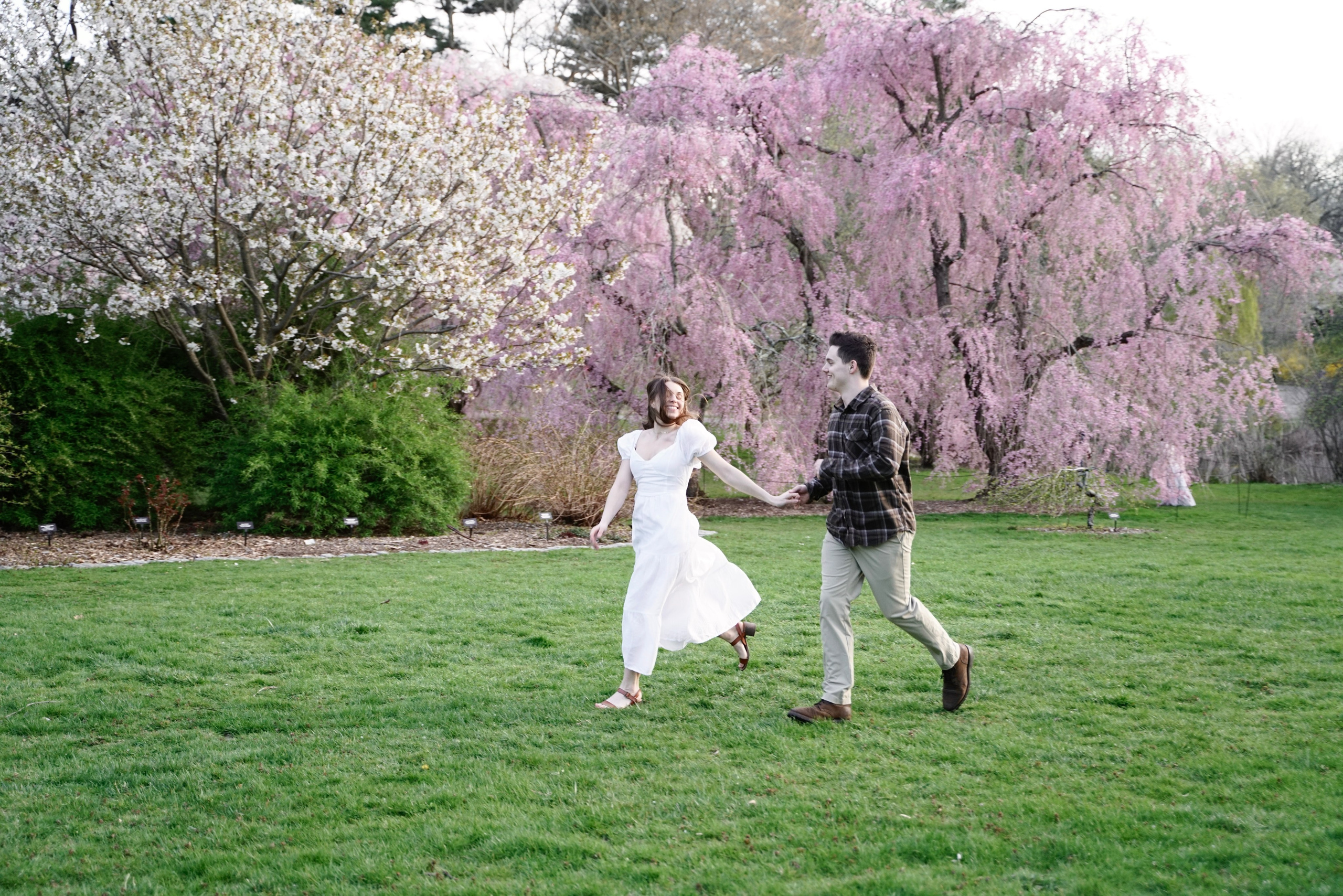 Kassandra and Andrew at Harvard Arboretum. Stefanovich Photography | Boston, MA
