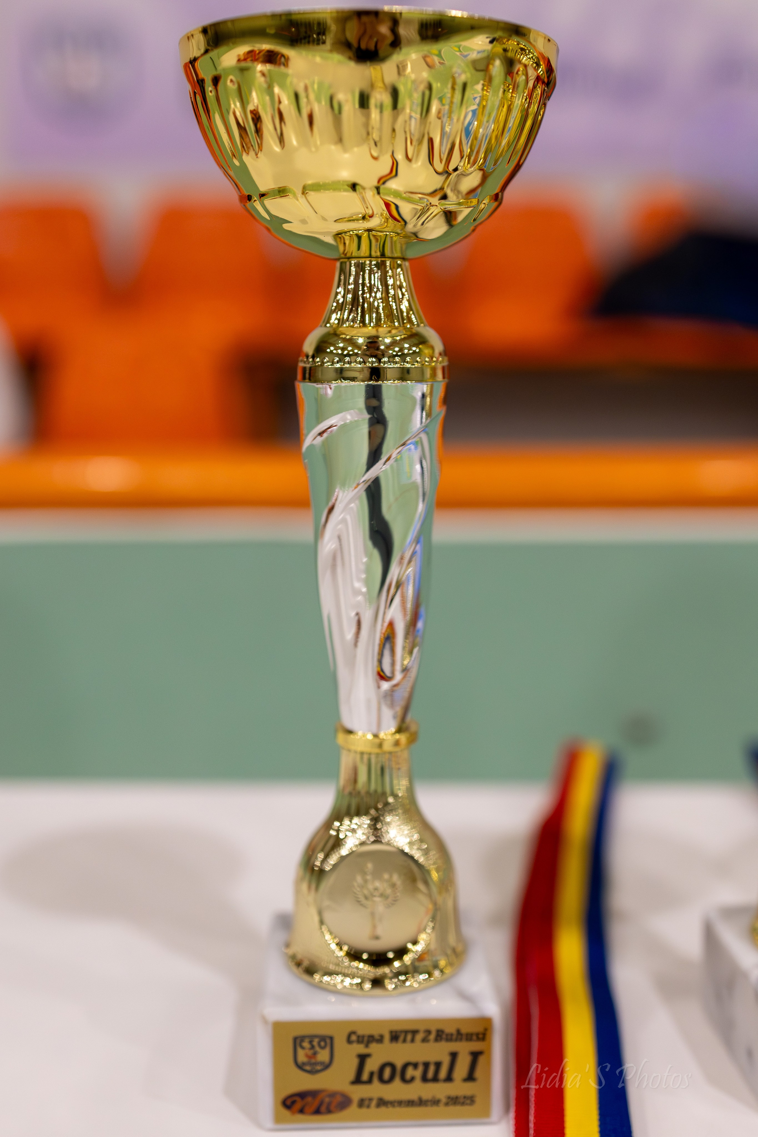 Turneu tenis de camp în sală. Fotograf. Lucrez cu oameni, produse și spații. Portret și fotografie creativă. Bacău, România. Lidia Savinoiu