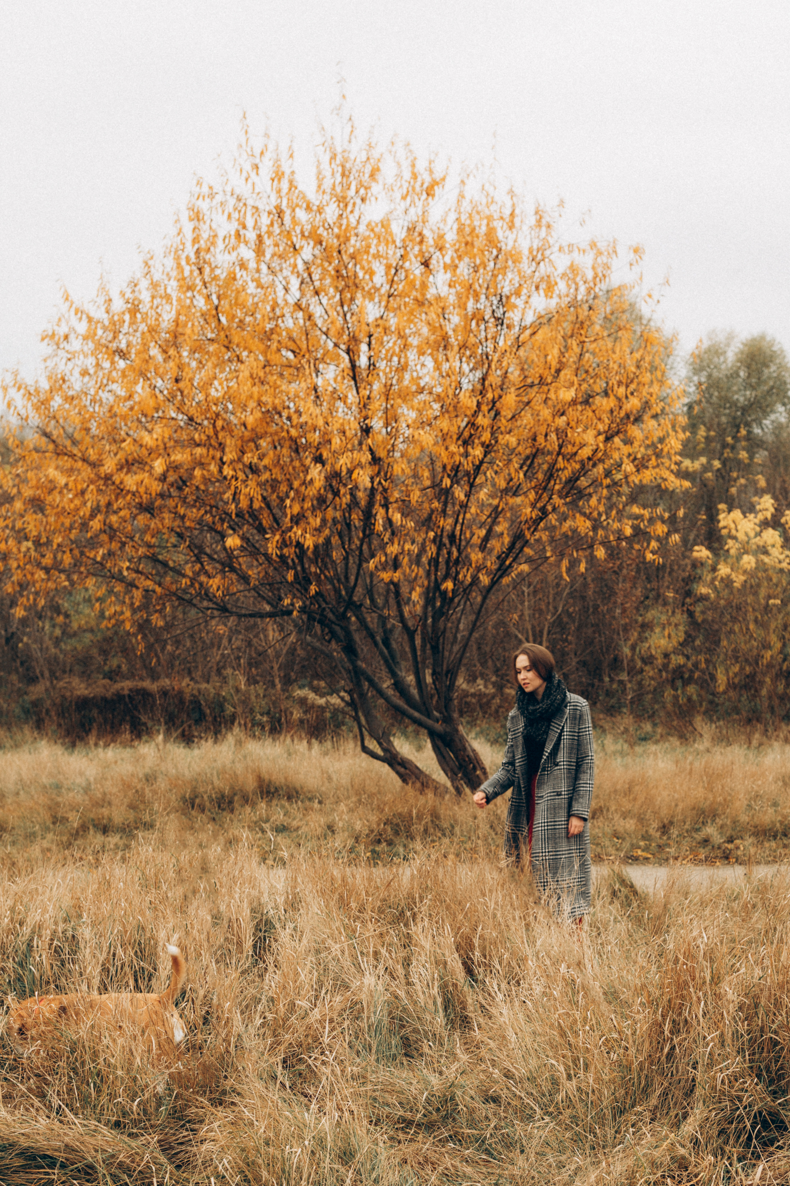 DIANA&DORIS. Family photographer in Stockholm Oksana Matviyiv