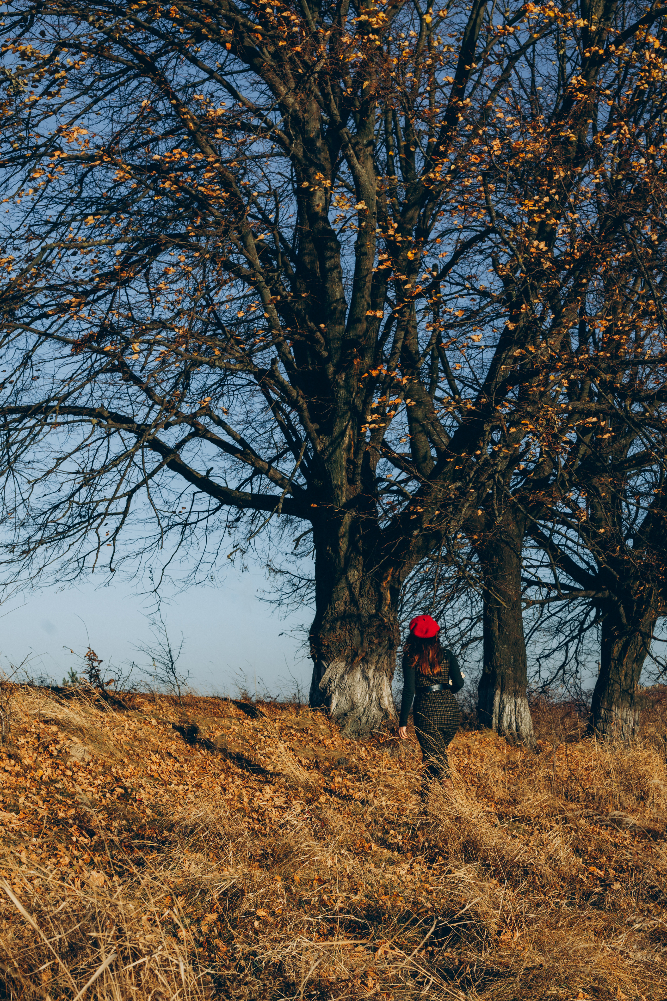 NASTIA. Family photographer in Stockholm Oksana Matviyiv