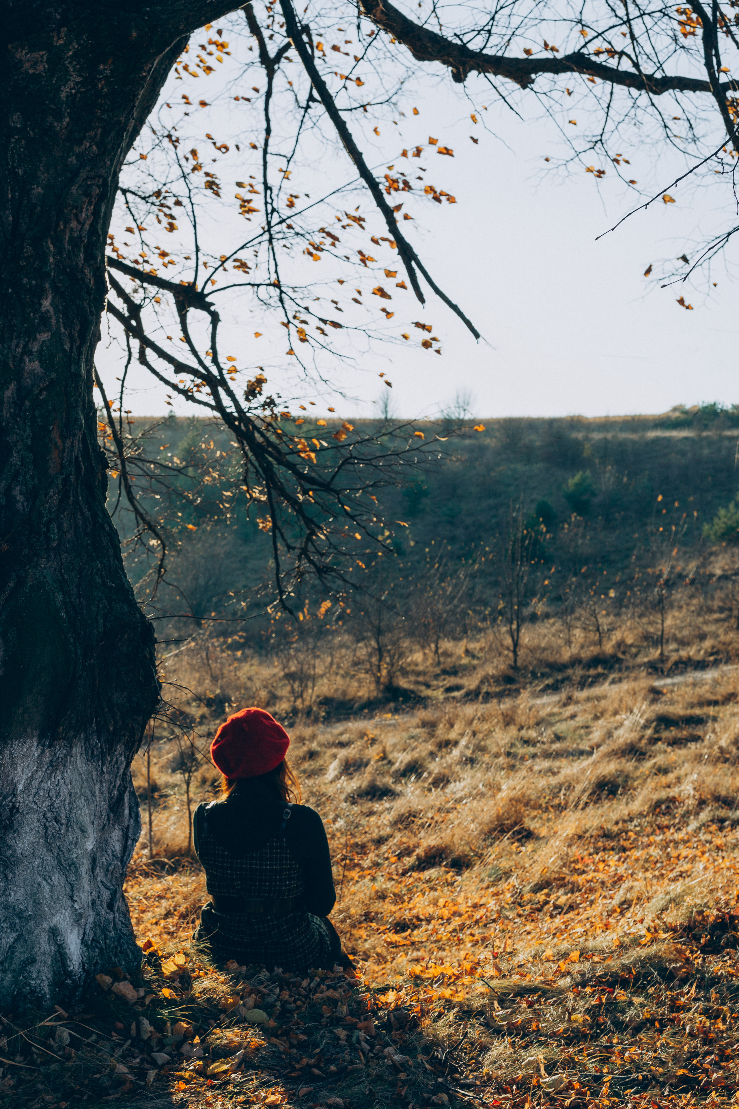 NASTIA. Family photographer in Stockholm Oksana Matviyiv