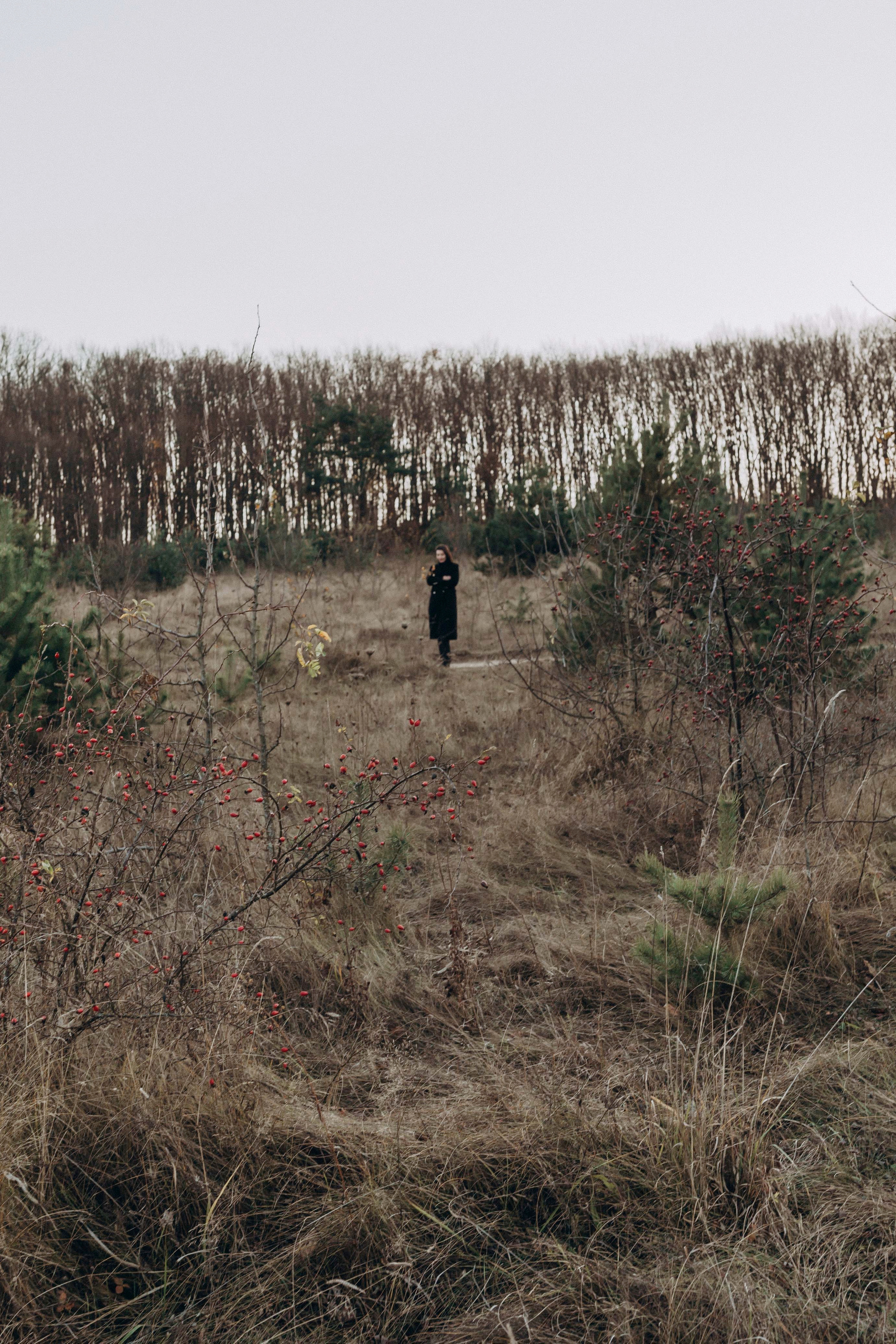 Nastia. Family photographer in Stockholm Oksana Matviyiv